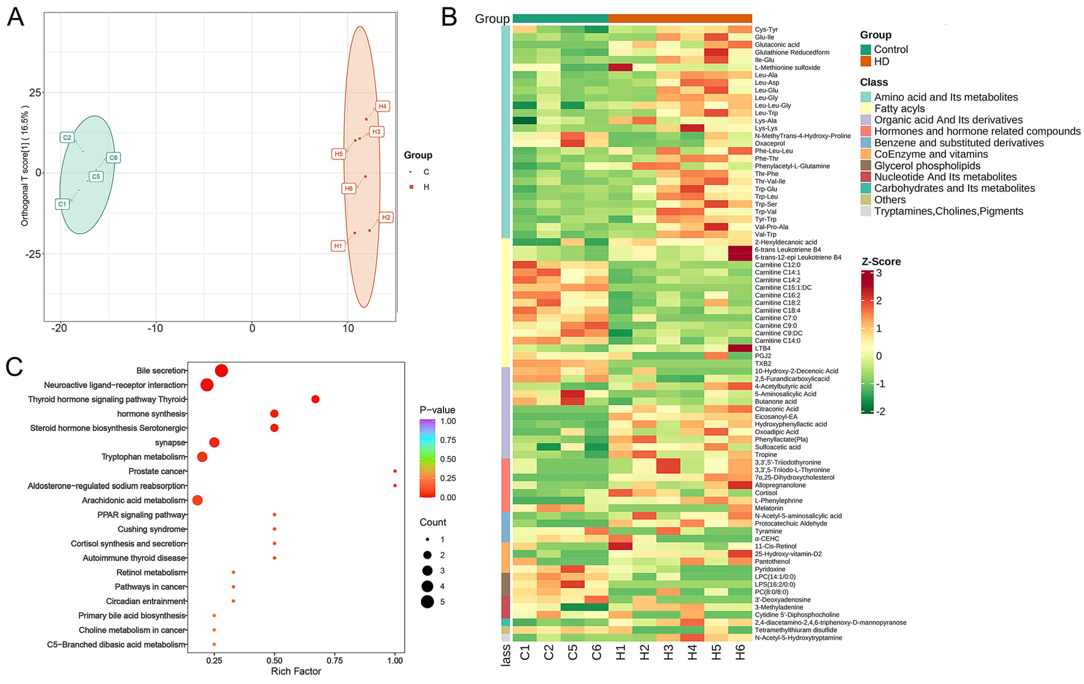Ijms 24 00673 g004 Ijms 24 00673 g004