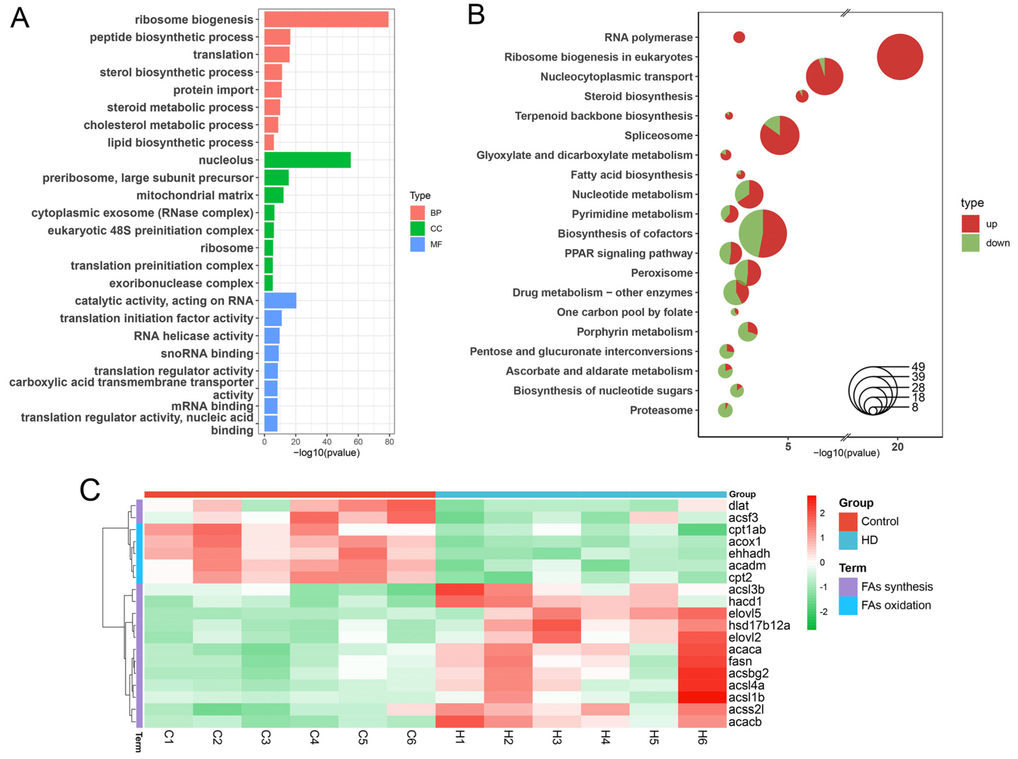 Ijms 24 00673 g005 Ijms 24 00673 g005