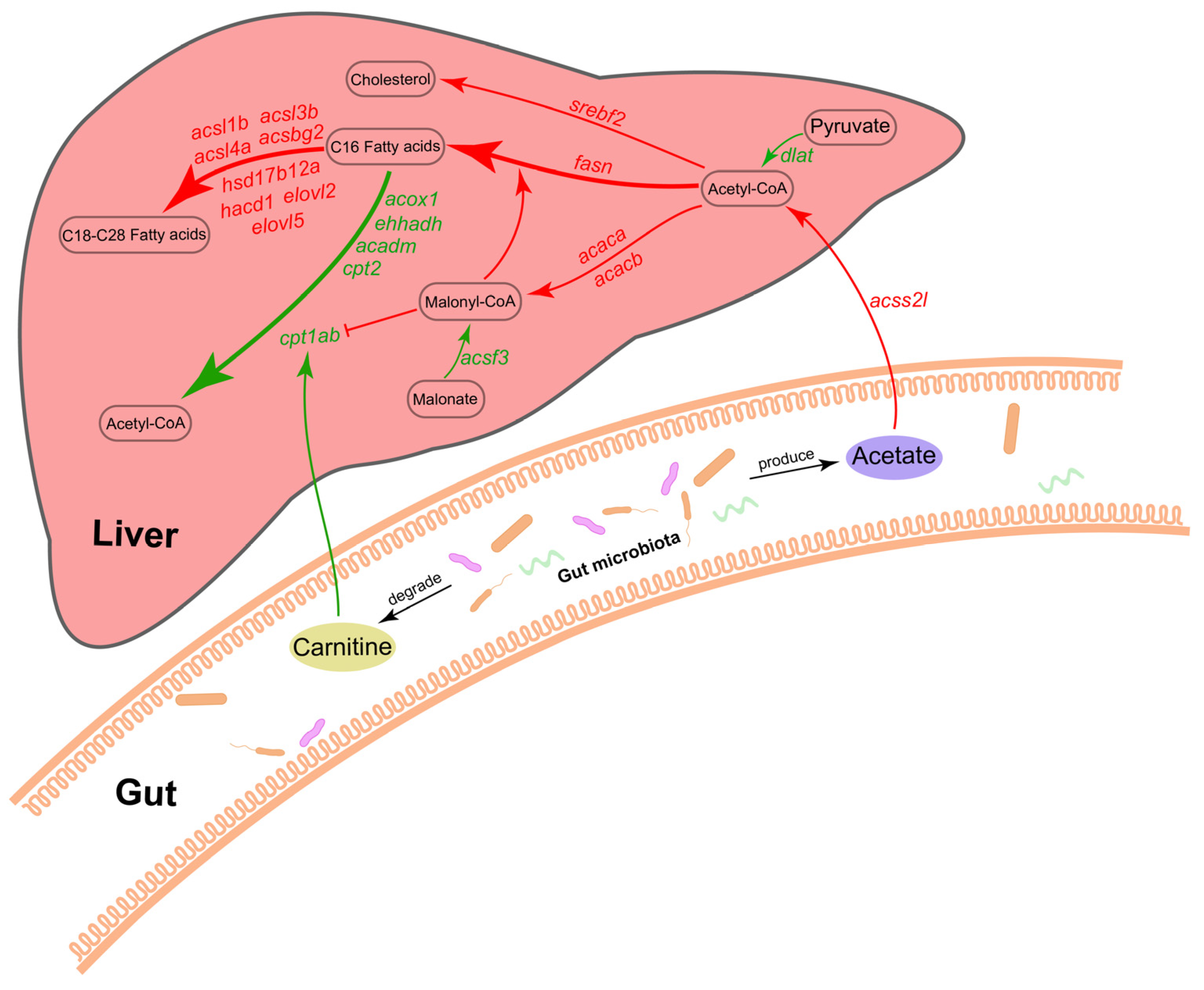 Ijms 24 00673 g007 Ijms 24 00673 g007