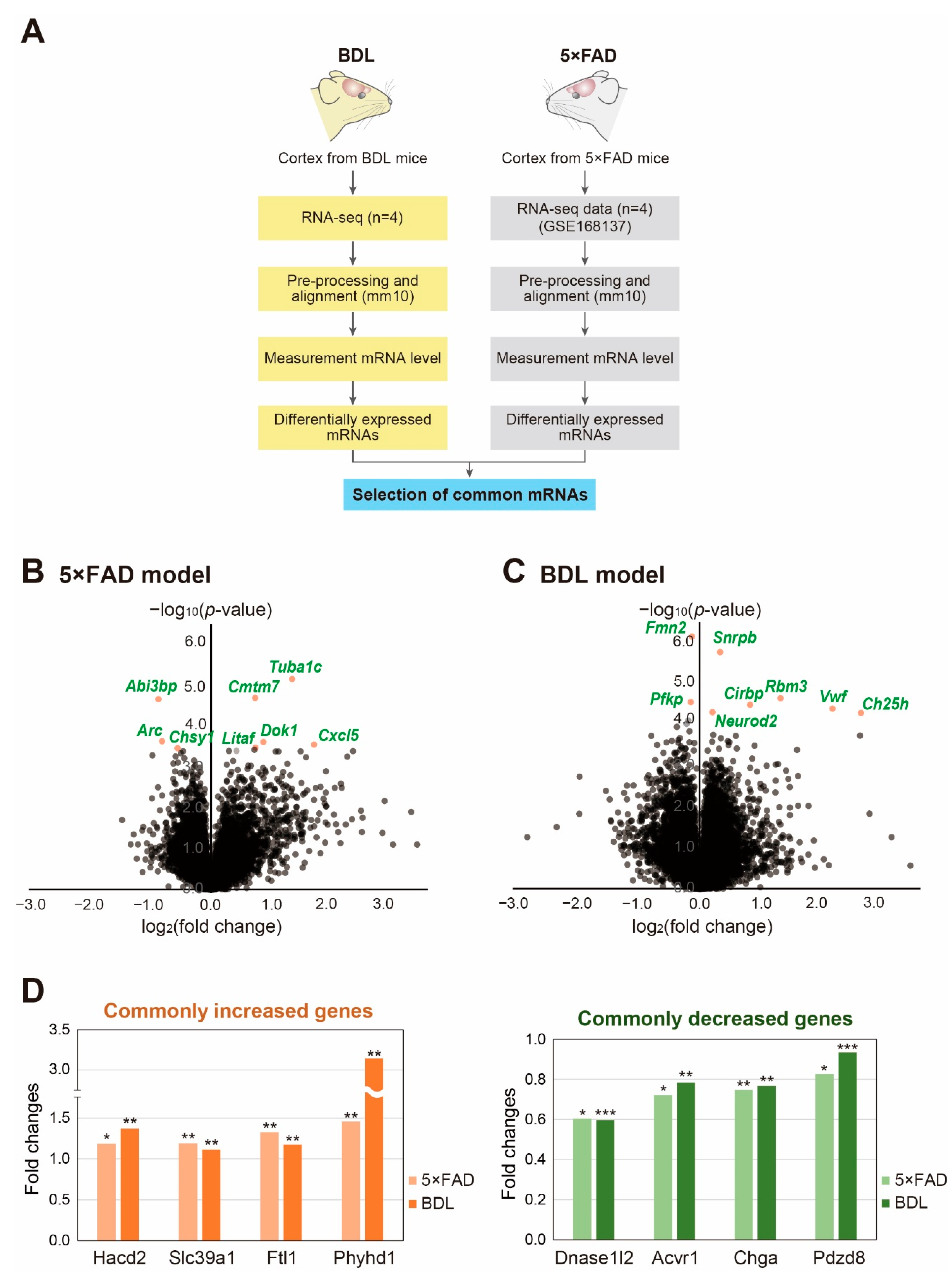 Ijms 24 00675 g001 Ijms 24 00675 g001