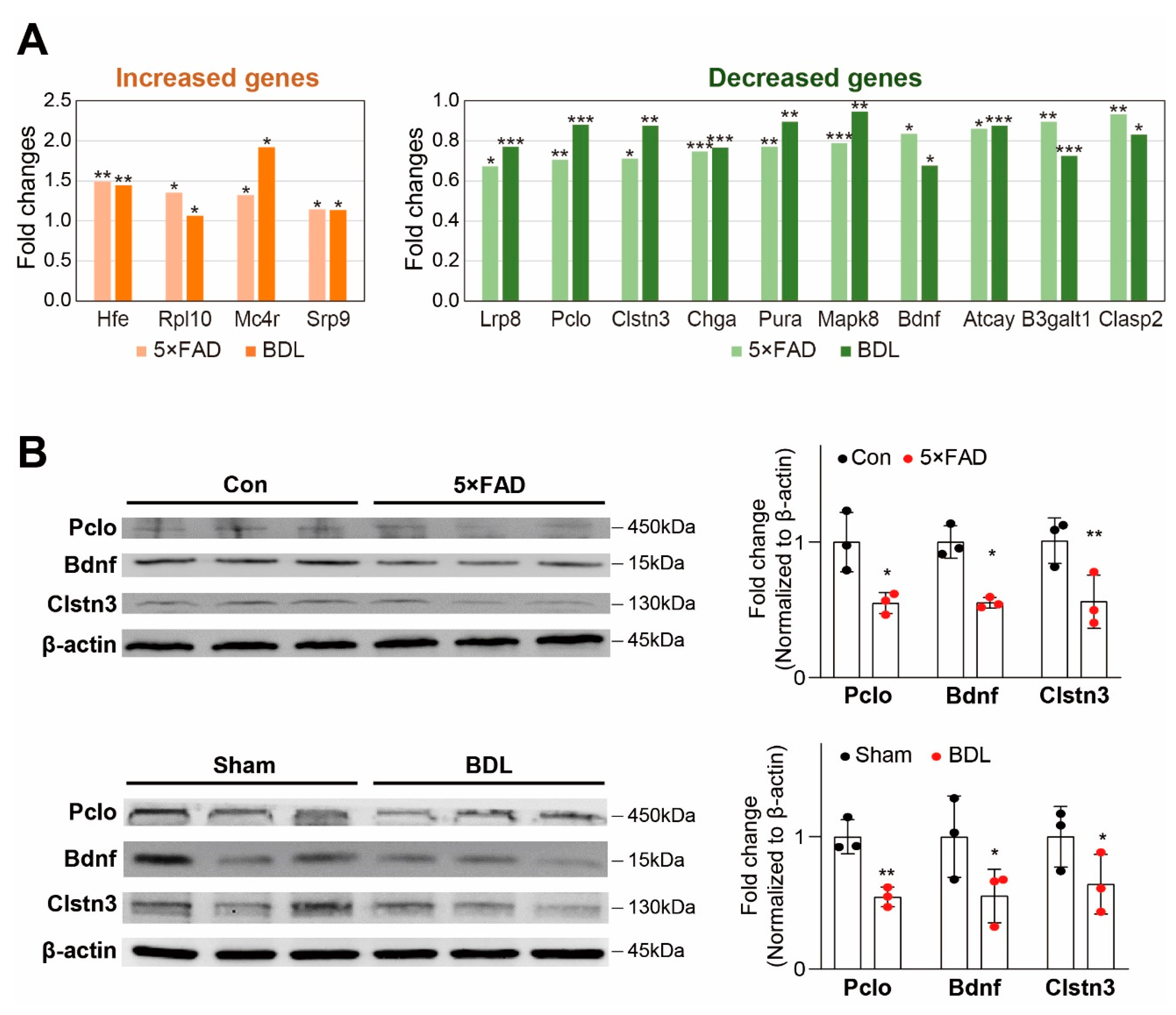 Ijms 24 00675 g002 Ijms 24 00675 g002