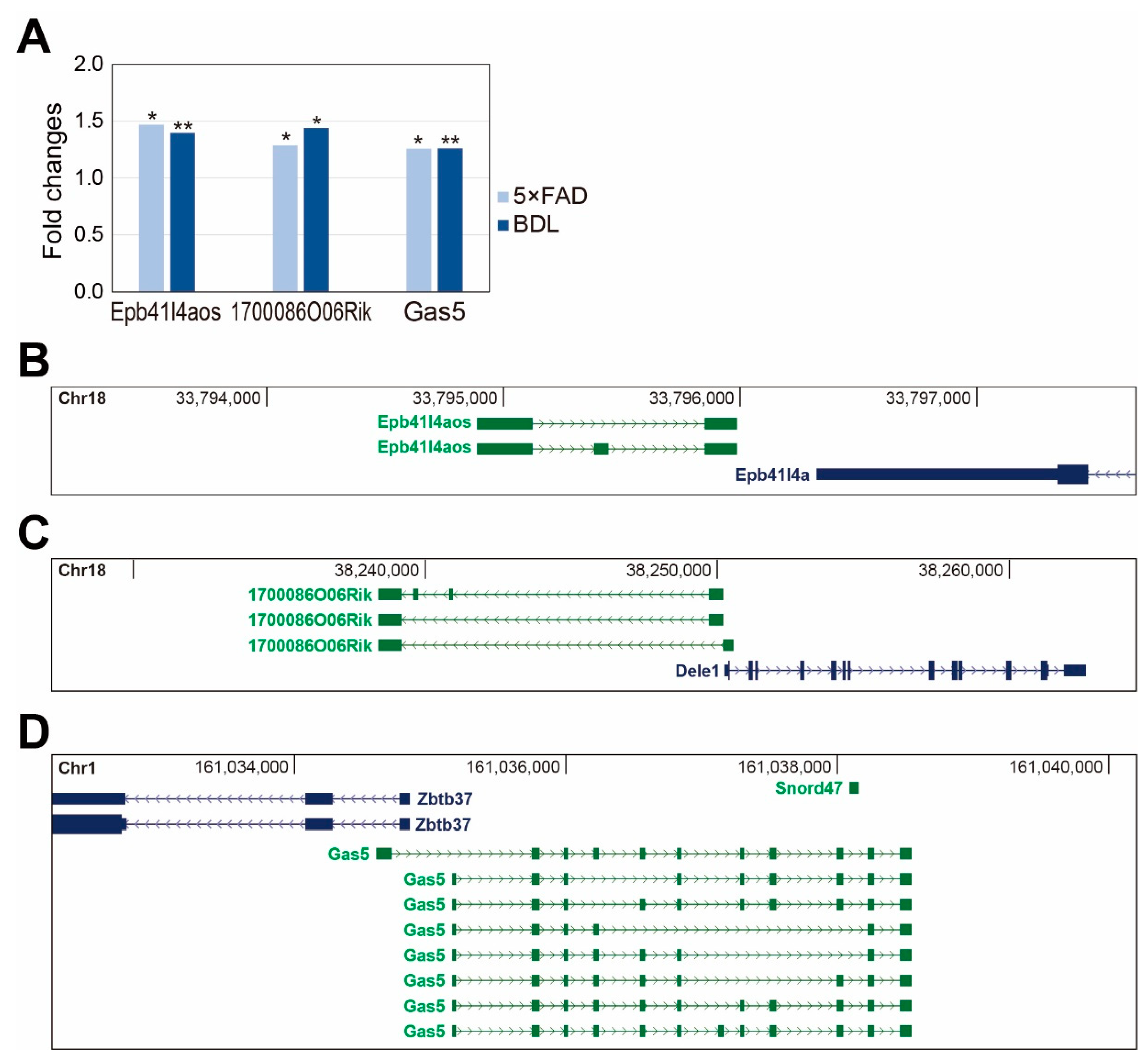 Ijms 24 00675 g005 Ijms 24 00675 g005