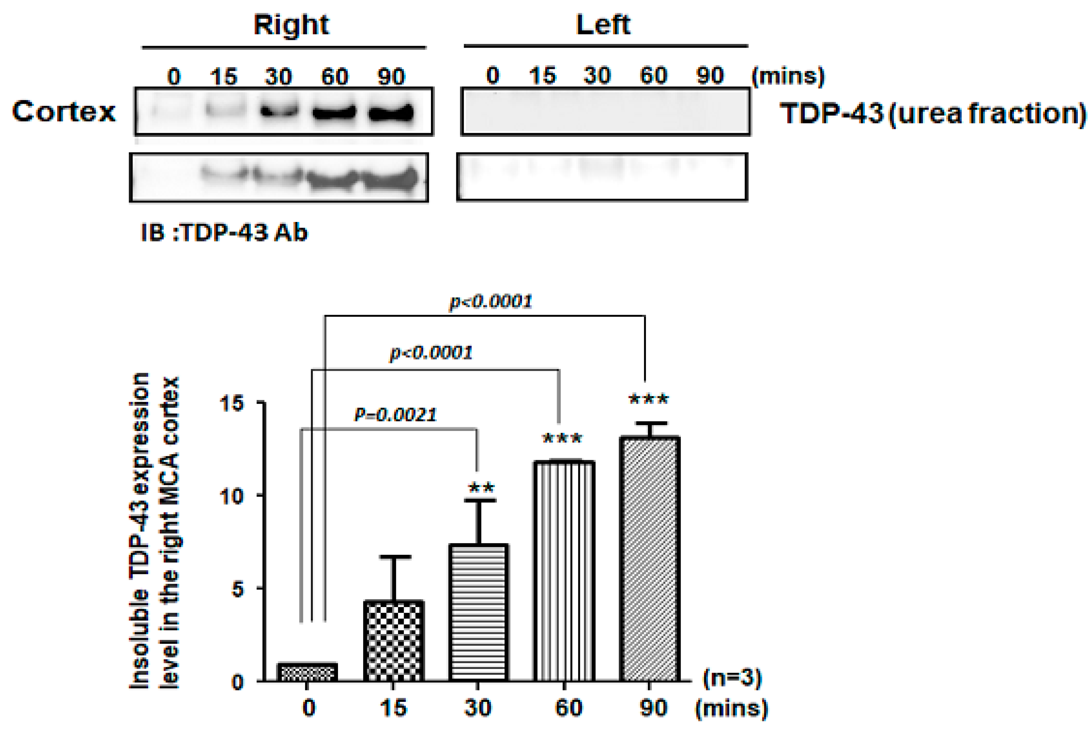 Ijms 24 00676 g001 Ijms 24 00676 g001