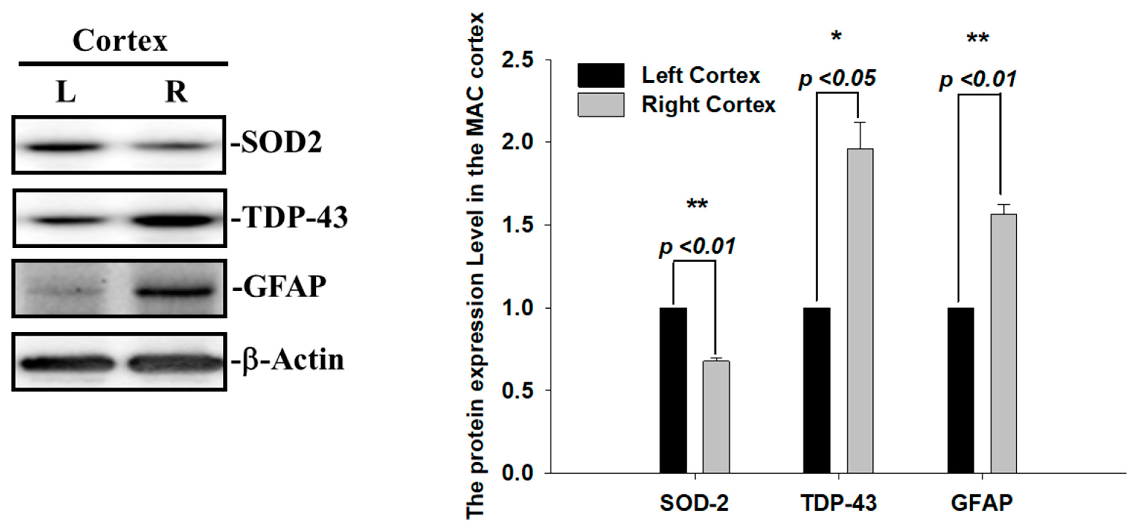 Ijms 24 00676 g003 Ijms 24 00676 g003