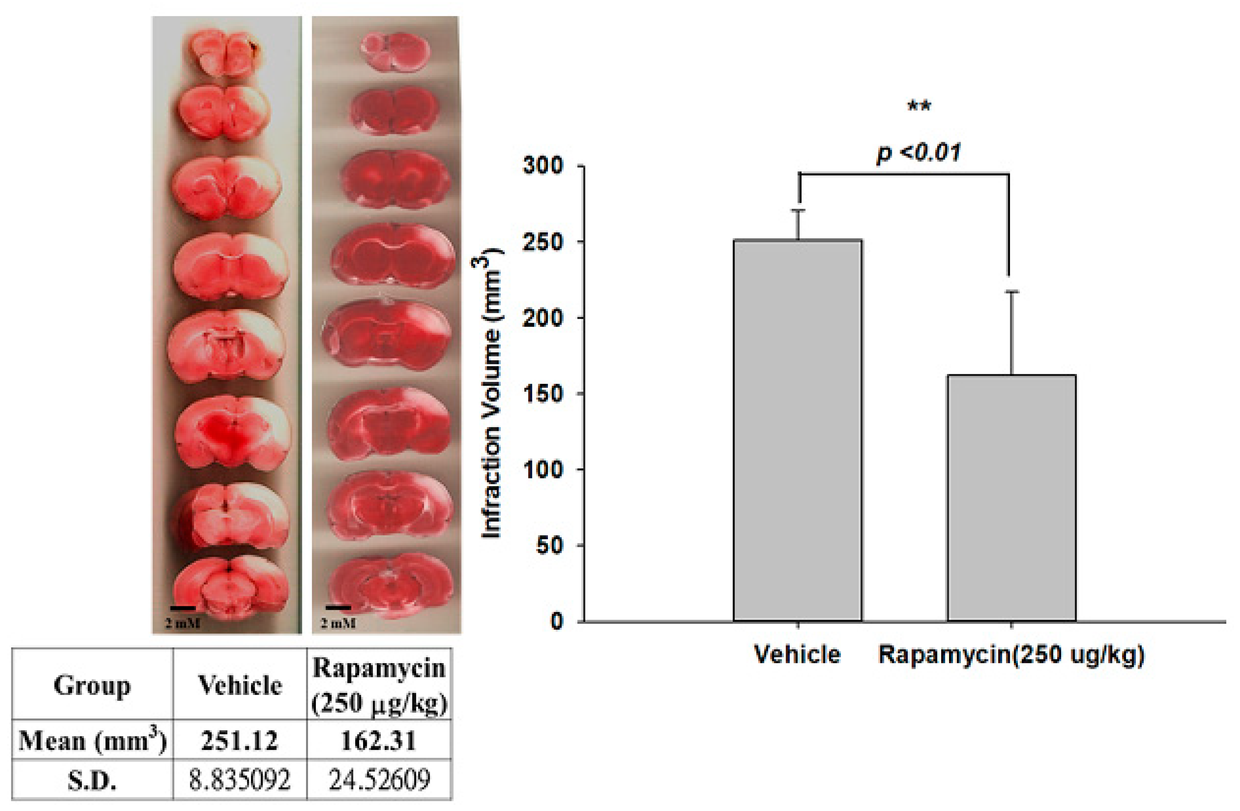 Ijms 24 00676 g006 Ijms 24 00676 g006