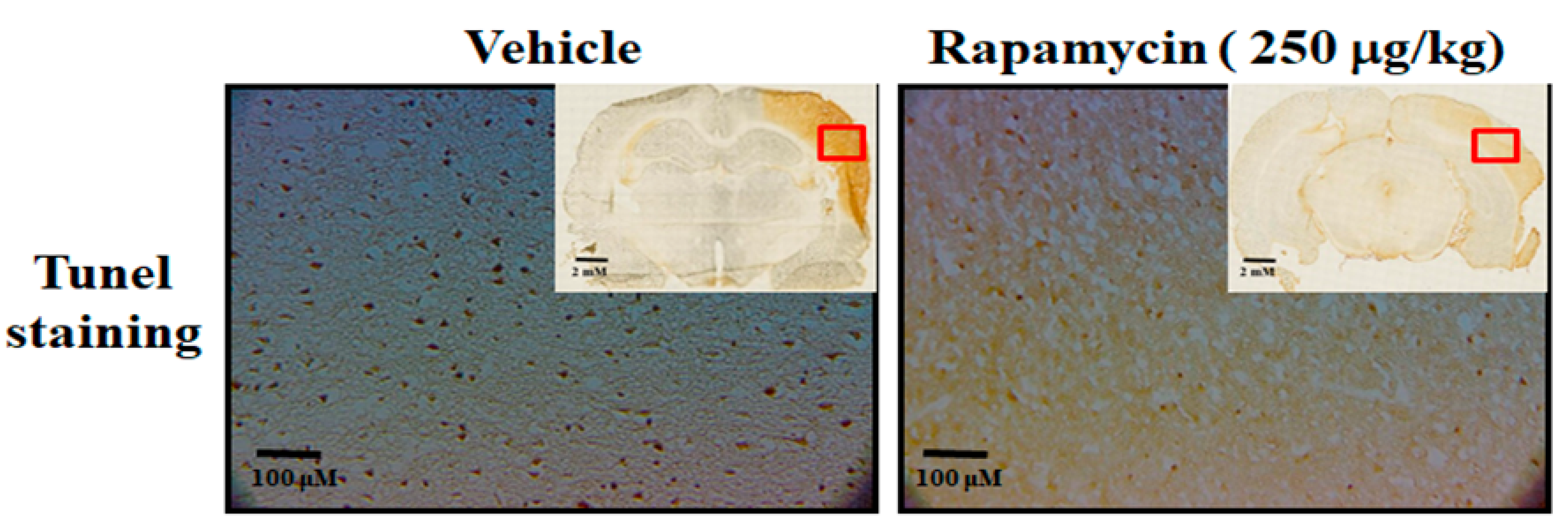 Ijms 24 00676 g008 Ijms 24 00676 g008