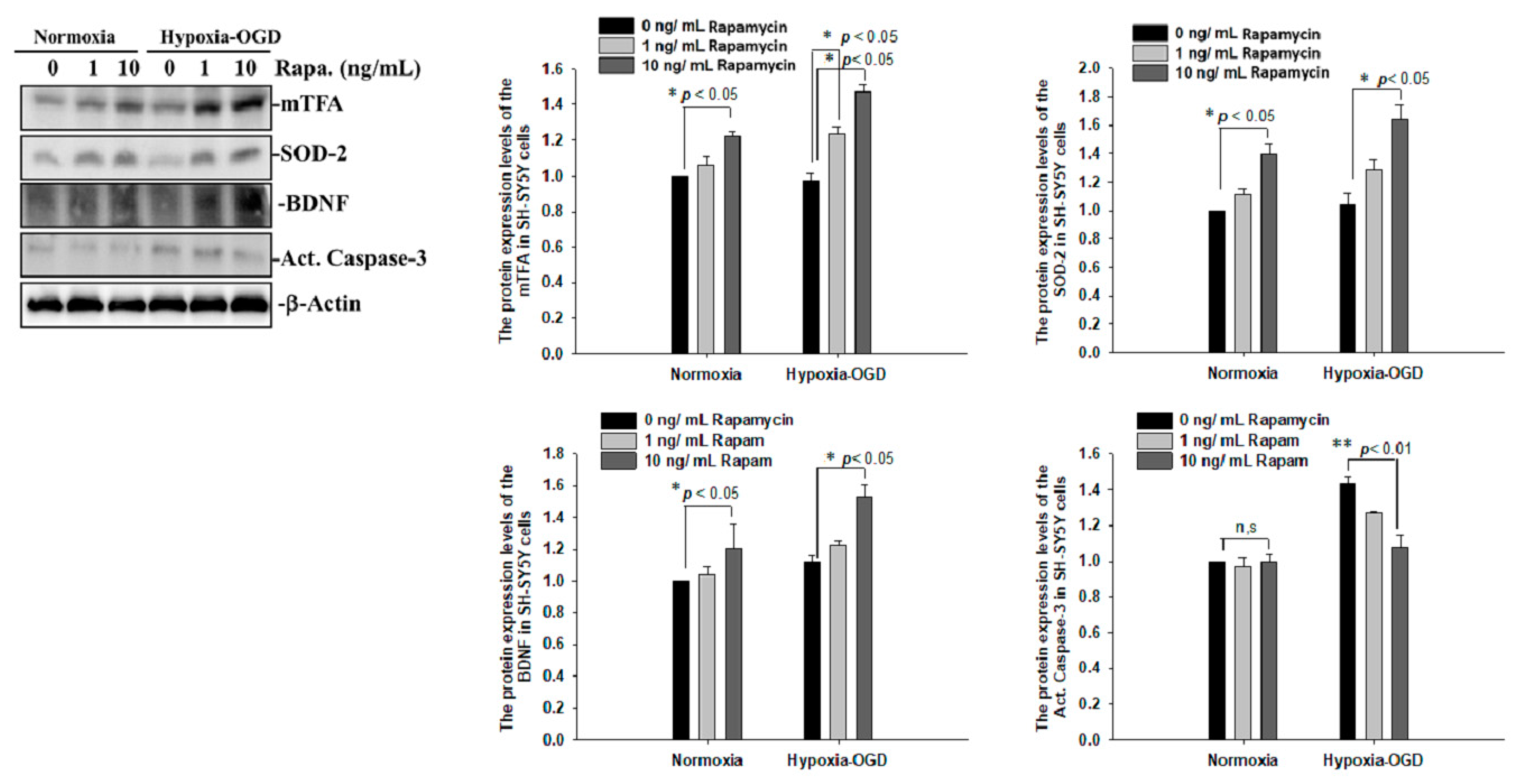 Ijms 24 00676 g009 Ijms 24 00676 g009