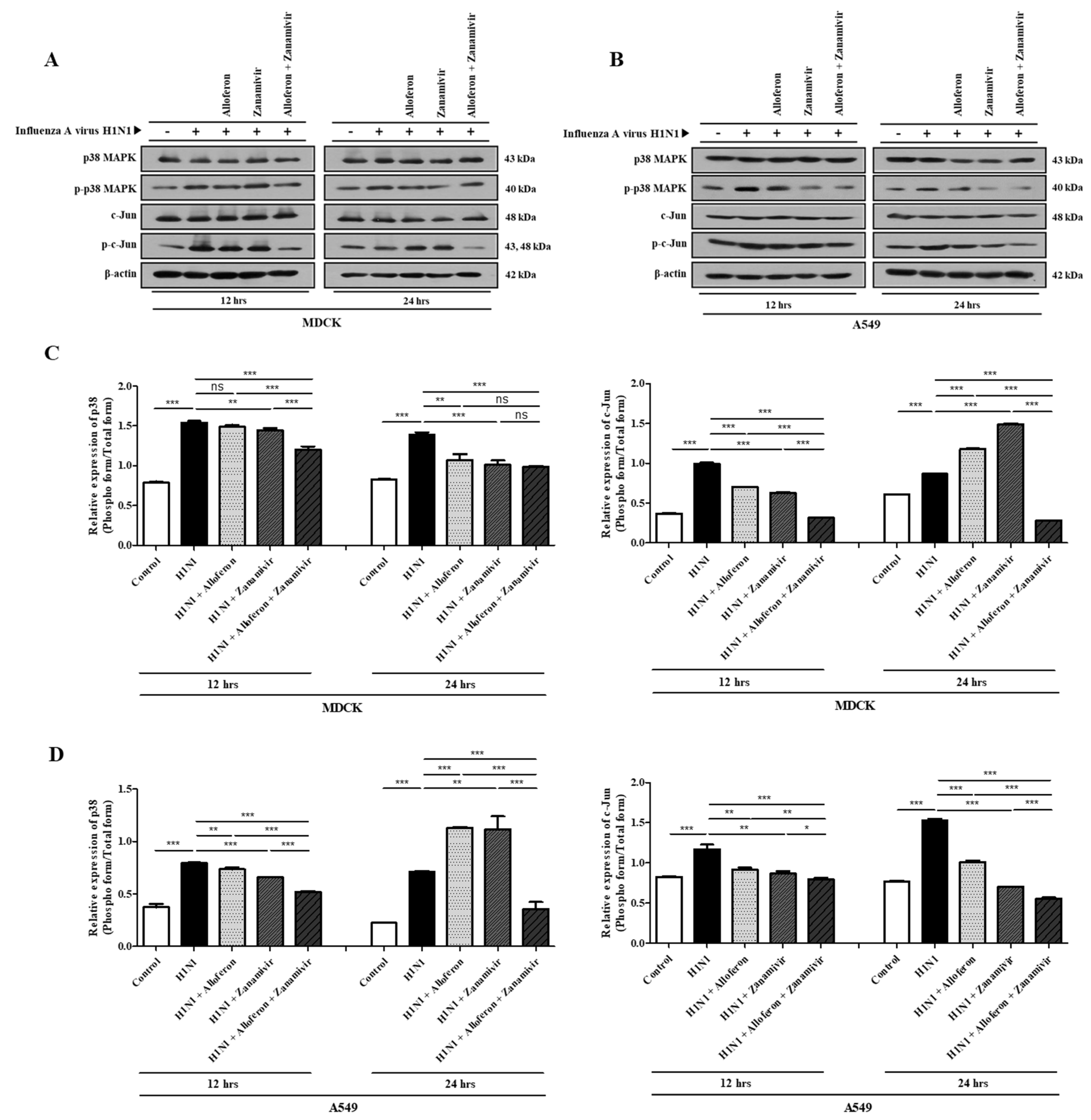 IJMS Free FullText Alloferon and Zanamivir Show Effective