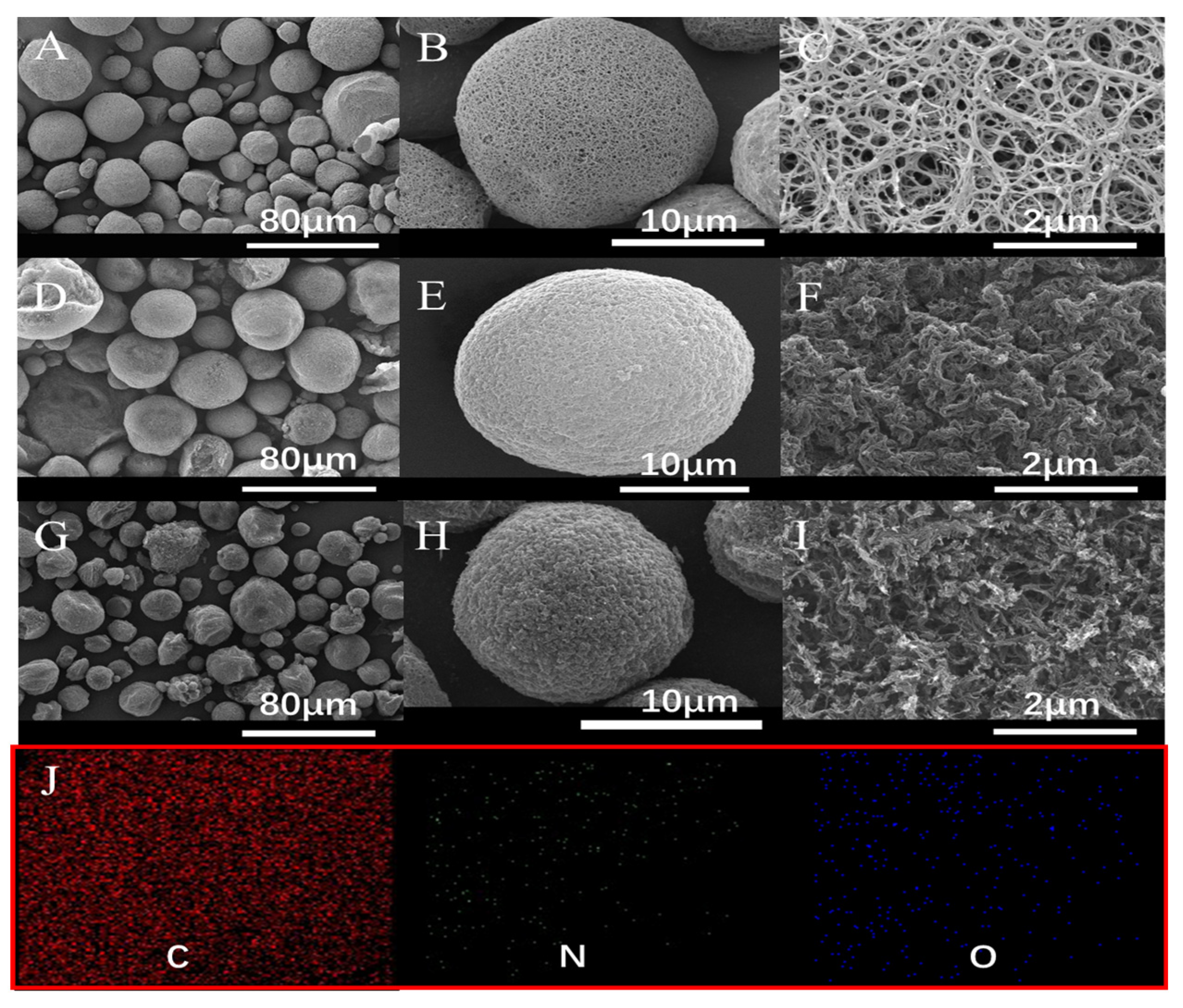 Ijms 24 00684 g001 Ijms 24 00684 g001