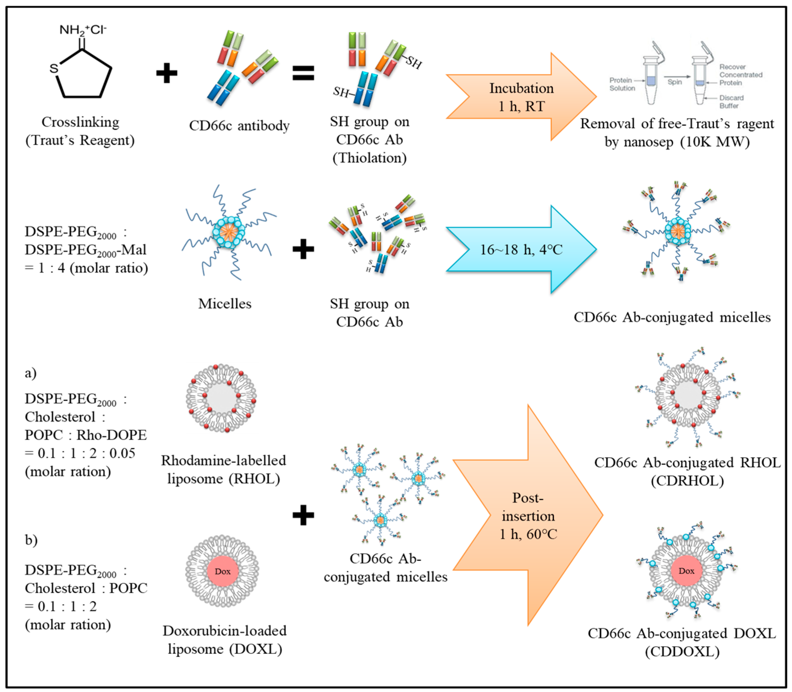 Ijms 24 00685 sch001