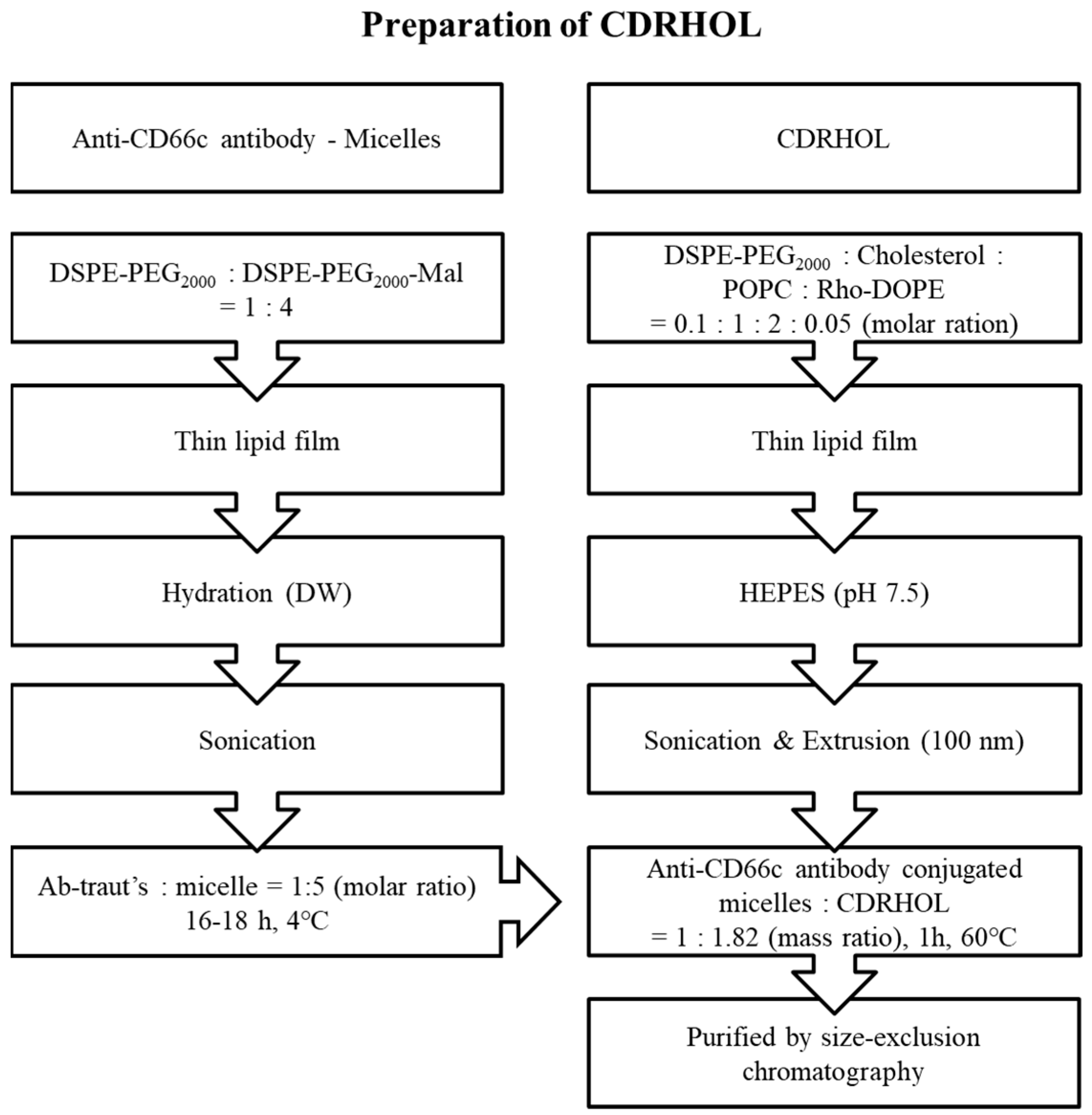 Ijms 24 00685 sch003