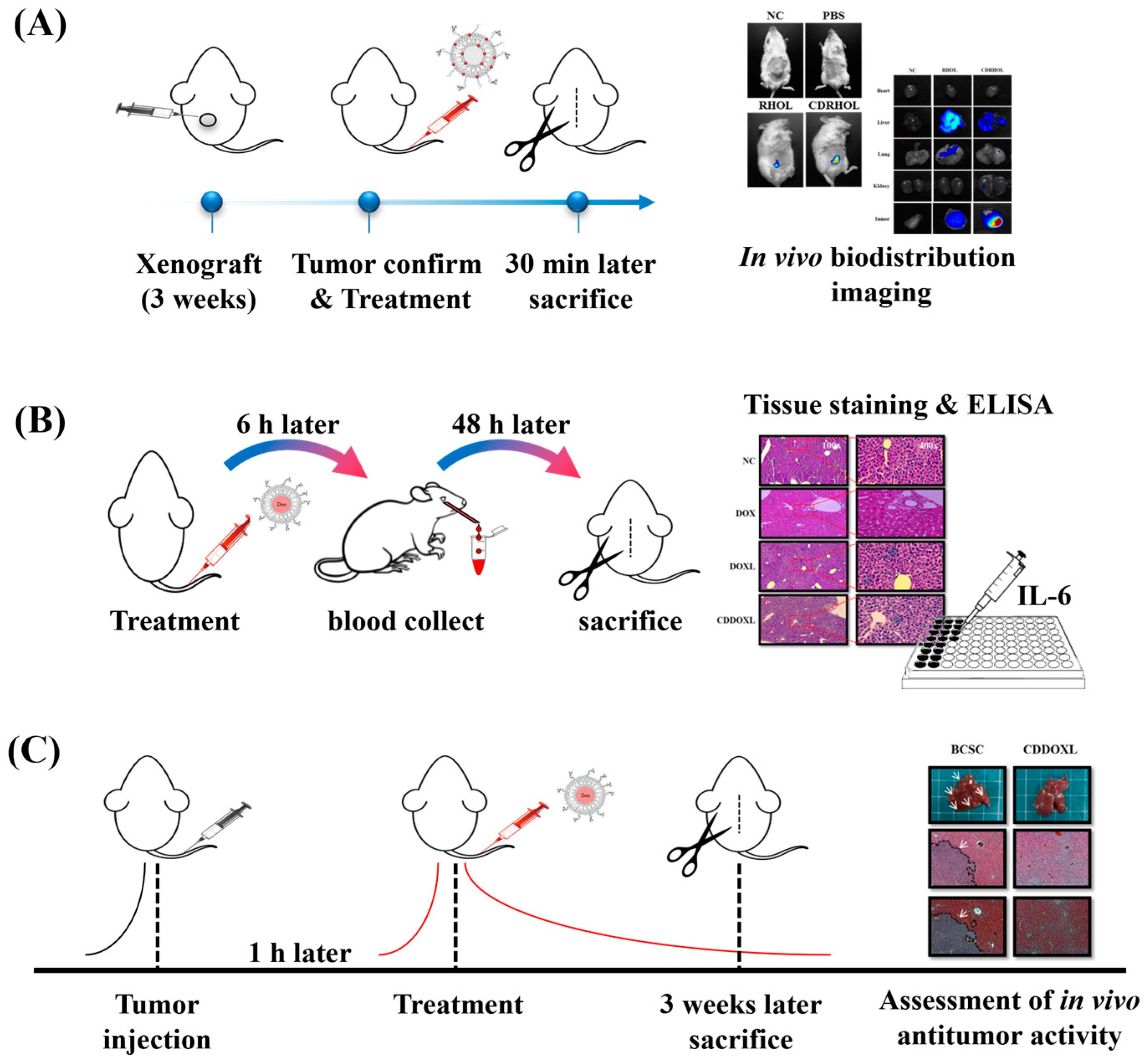 Ijms 24 00685 sch005
