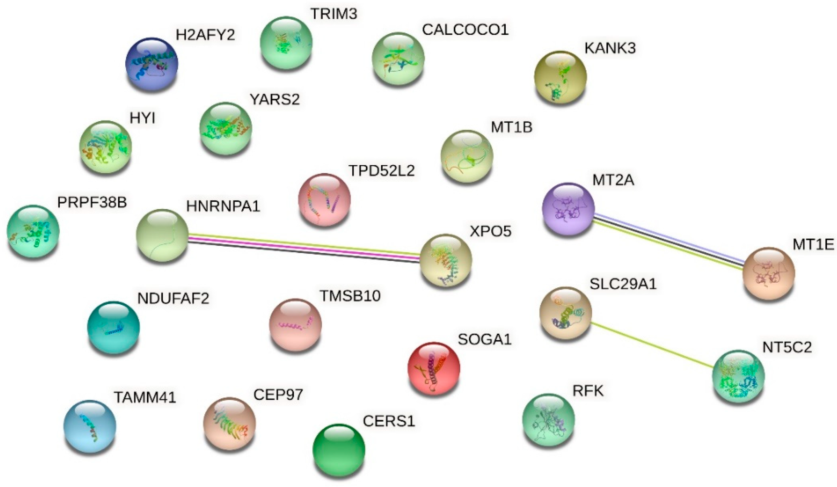 Ijms 24 00691 g008 Ijms 24 00691 g008