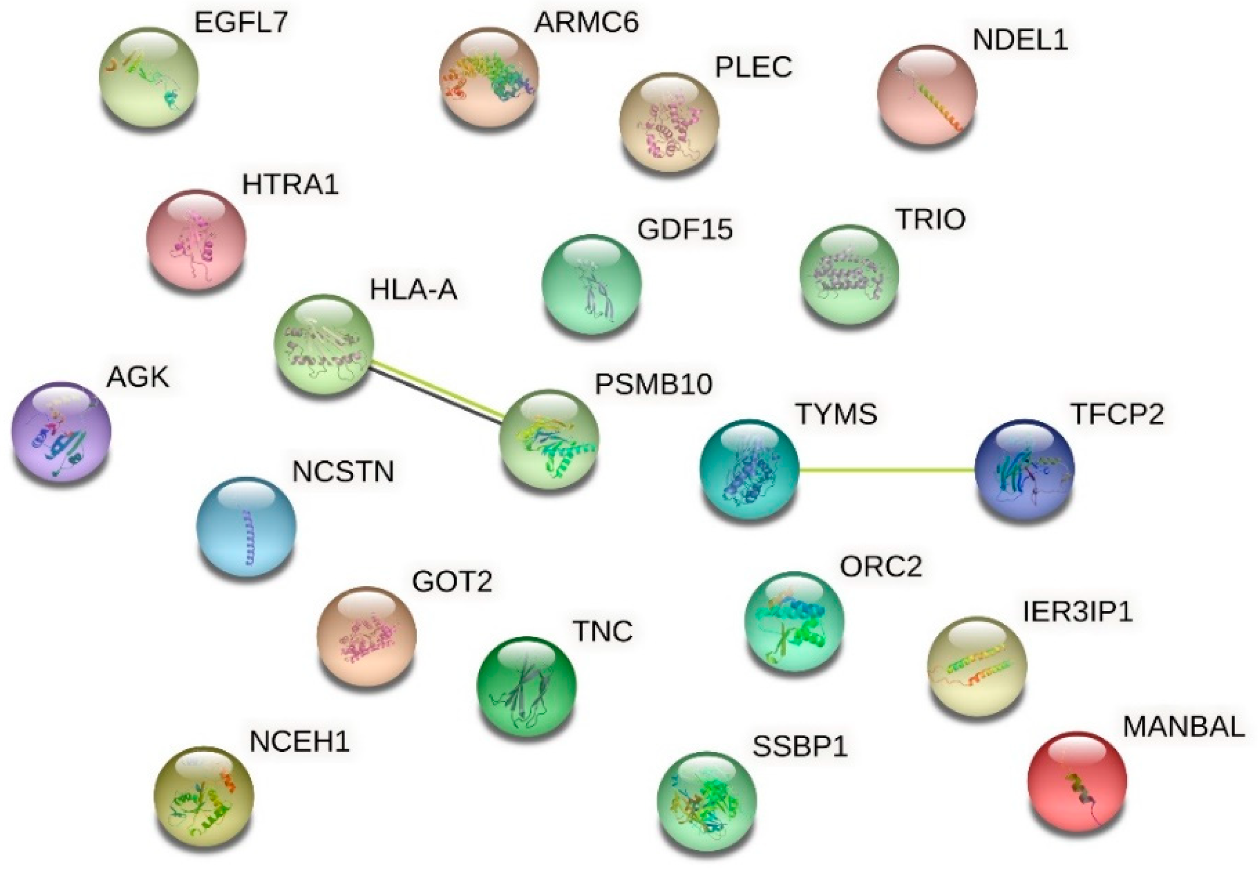 Ijms 24 00691 g009 Ijms 24 00691 g009