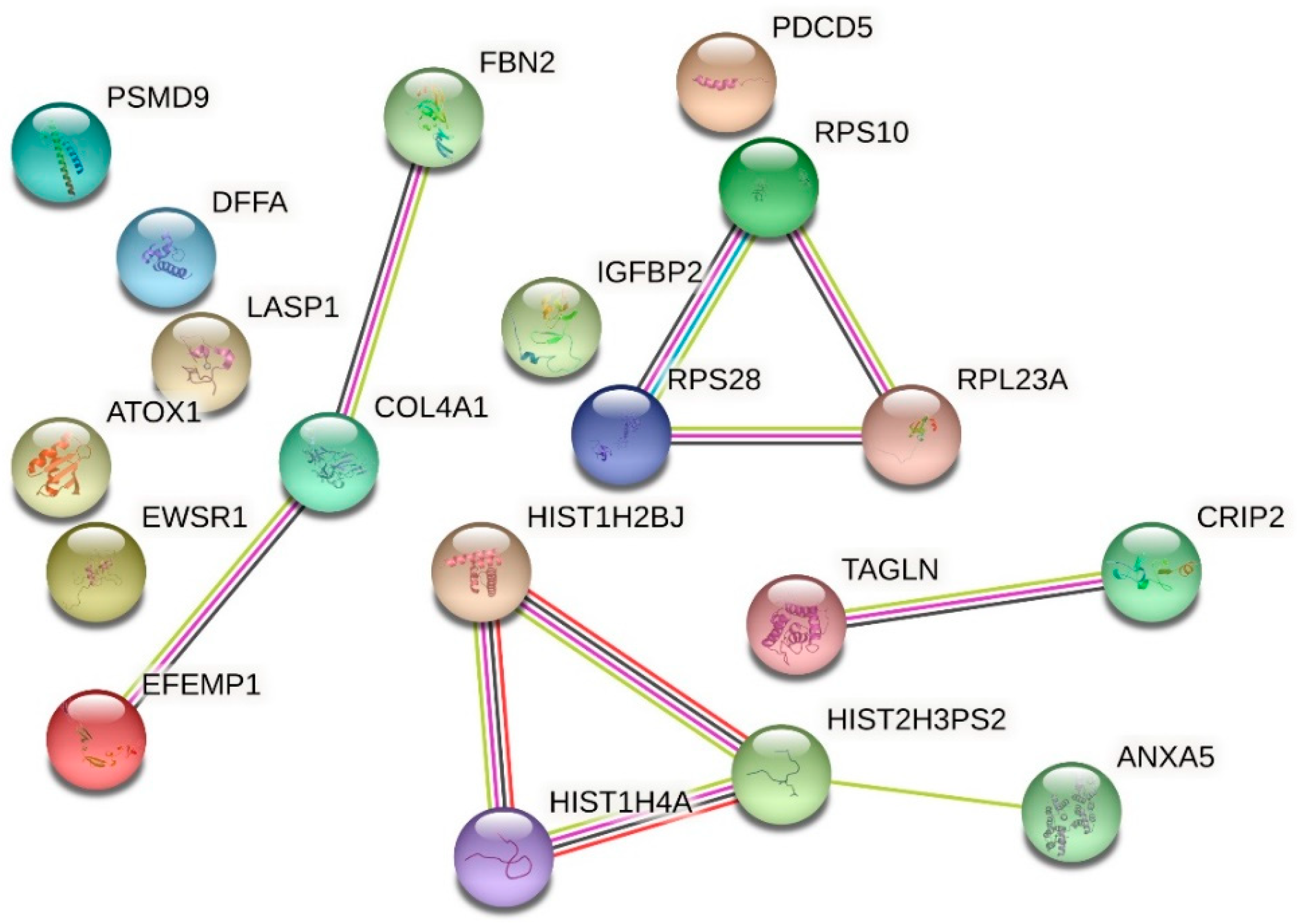 Ijms 24 00691 g011 Ijms 24 00691 g011