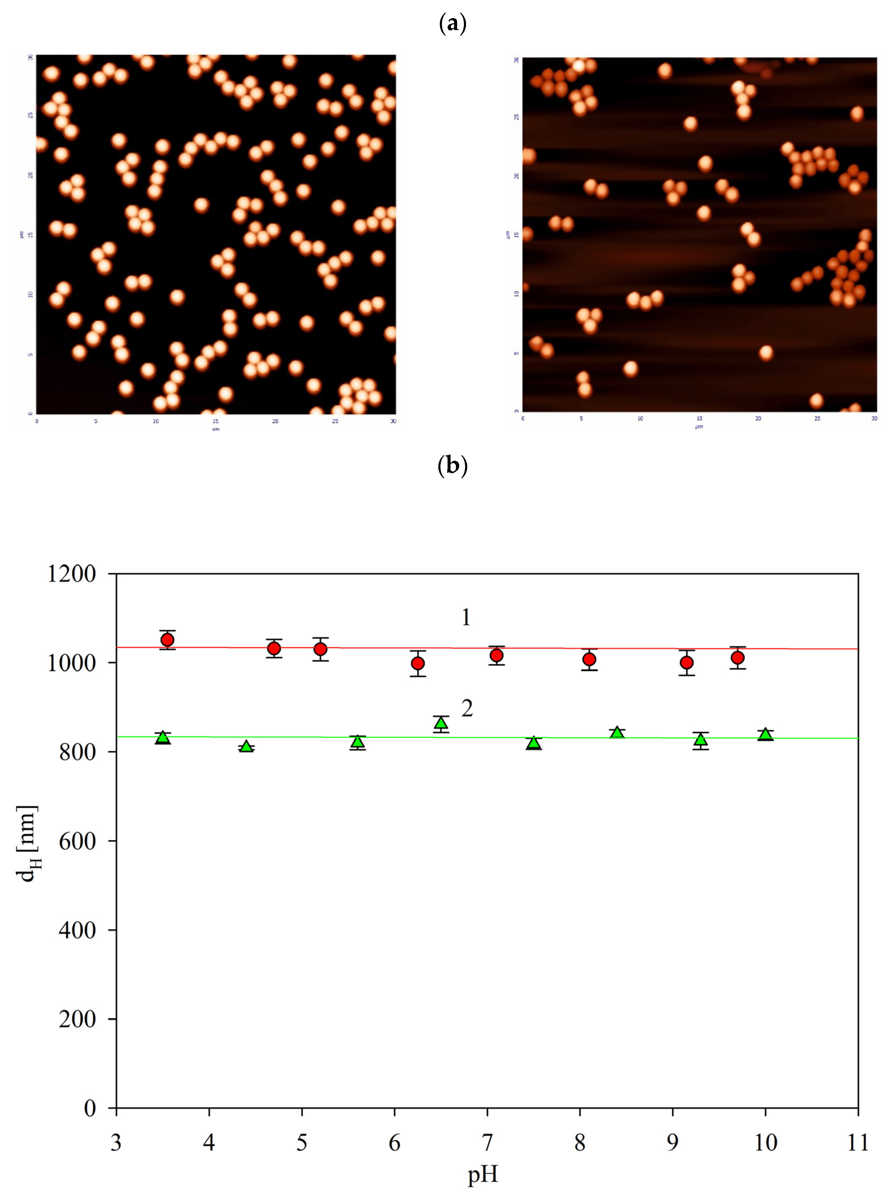 Ijms 24 00692 g001 Ijms 24 00692 g001