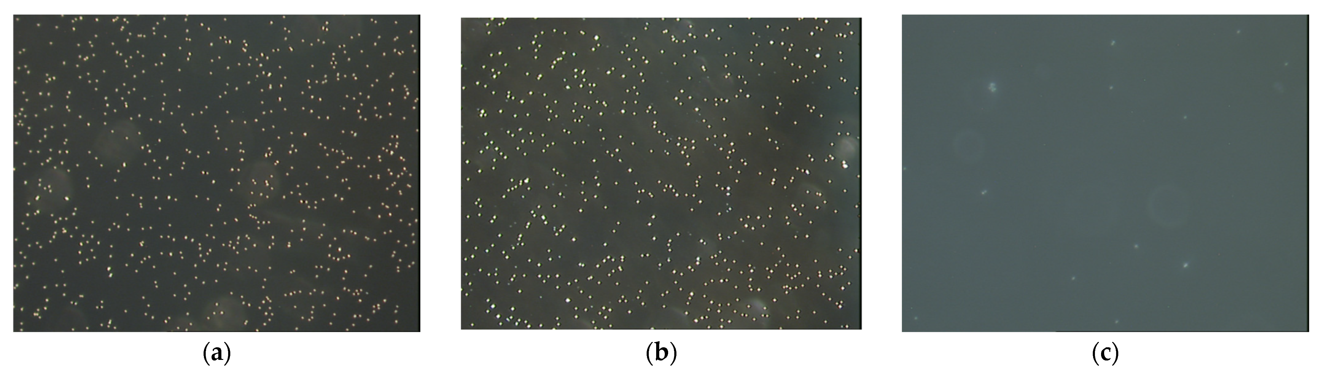 Ijms 24 00692 g005 Ijms 24 00692 g005