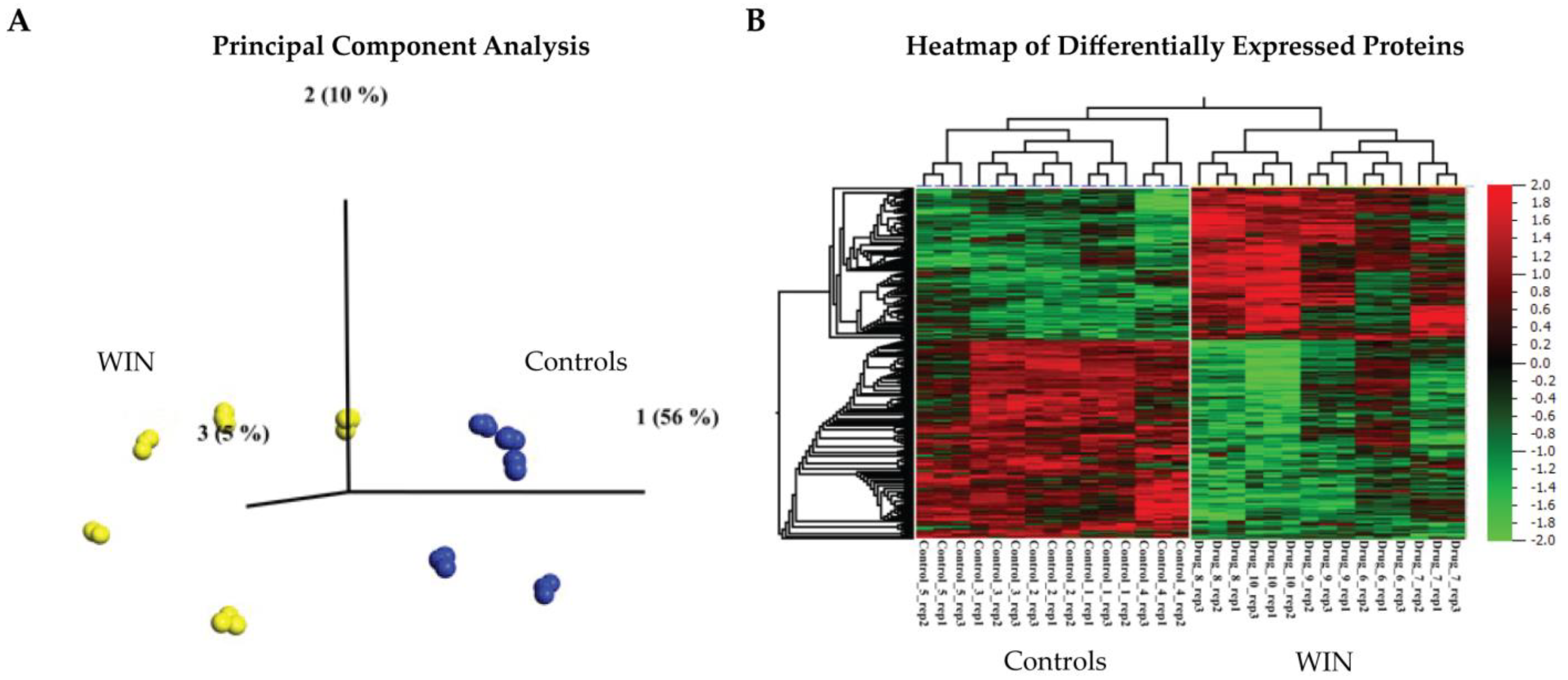 Ijms 24 00698 g001 Ijms 24 00698 g001