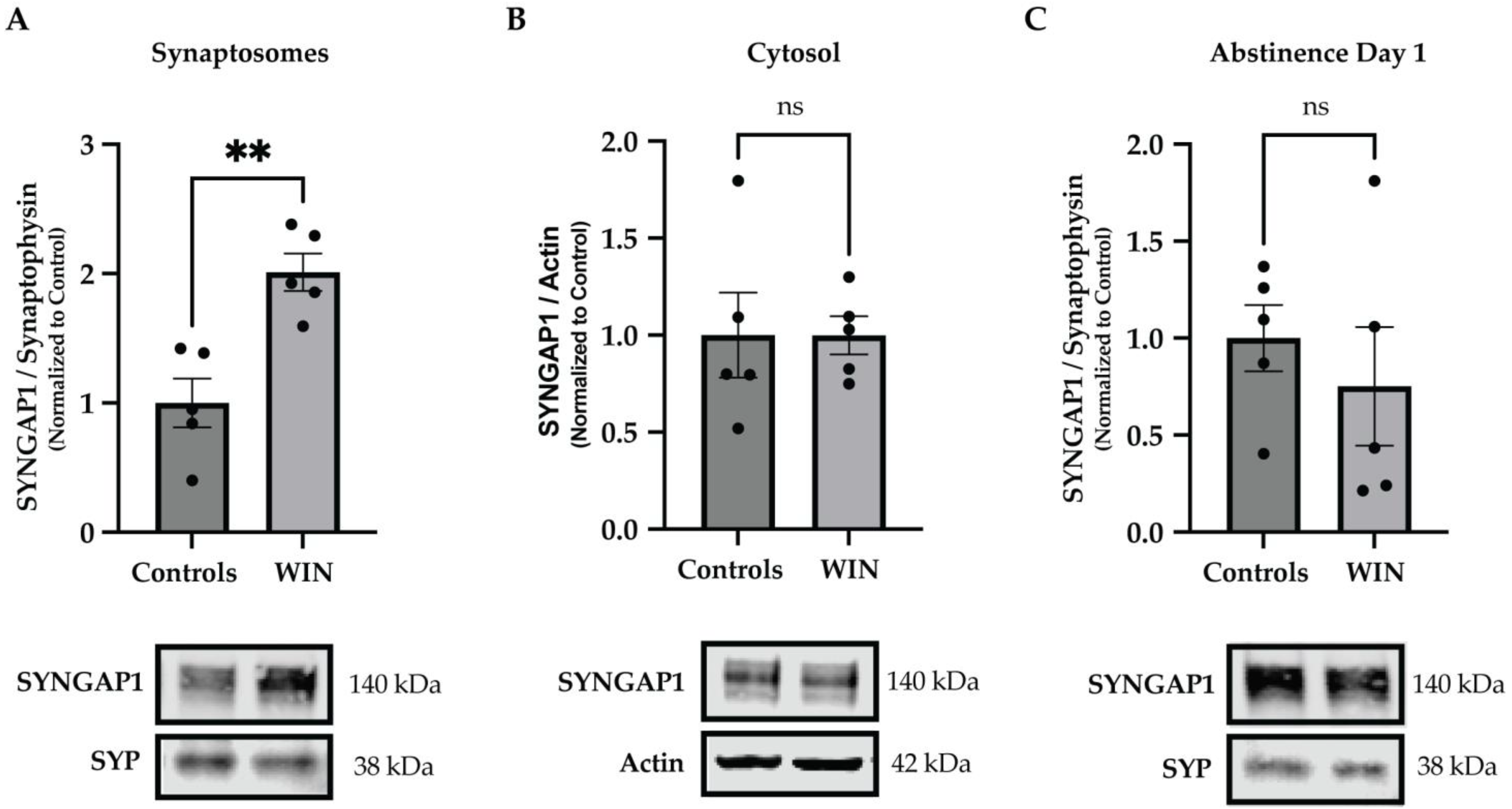 Ijms 24 00698 g002 Ijms 24 00698 g002