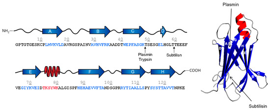 The Role of Proteolysis in Amyloidosis Biology Diagrams