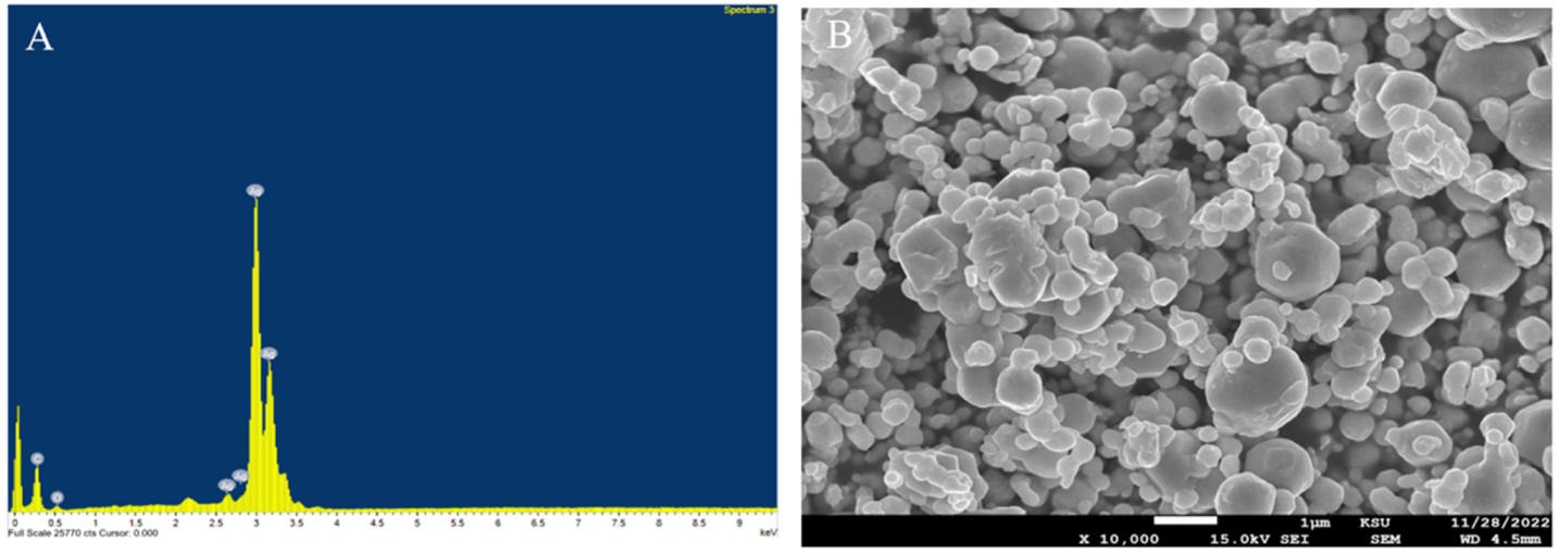 Ijms 24 00702 g002 Ijms 24 00702 g002