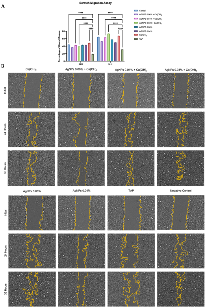 Ijms 24 00702 g008 Ijms 24 00702 g008