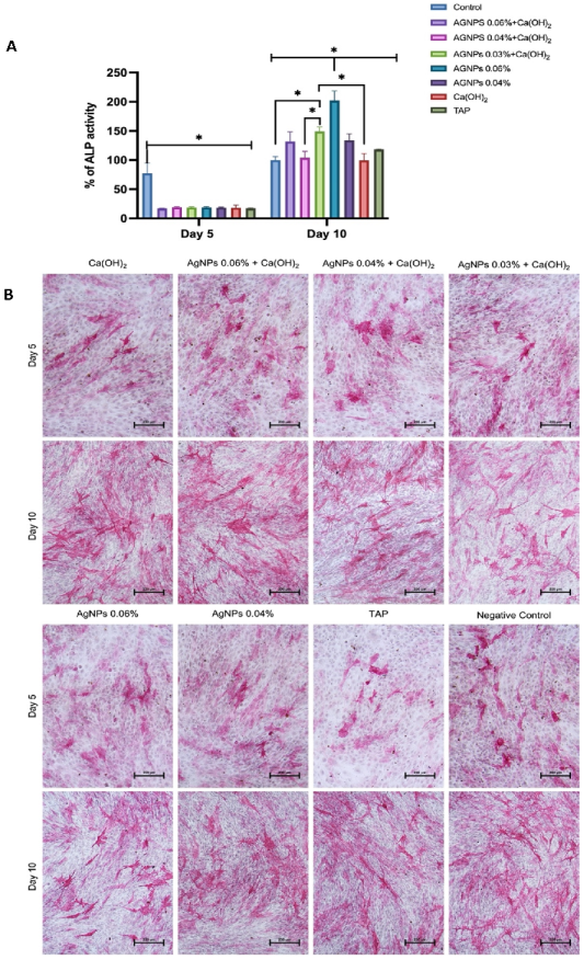 Ijms 24 00702 g010 Ijms 24 00702 g010