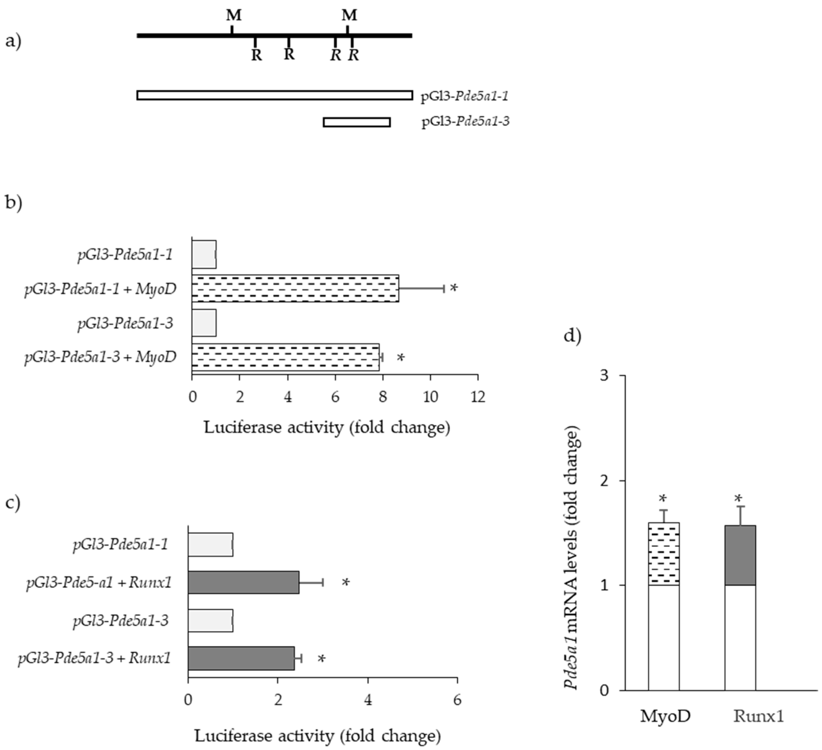 Ijms 24 00703 g004 Ijms 24 00703 g004