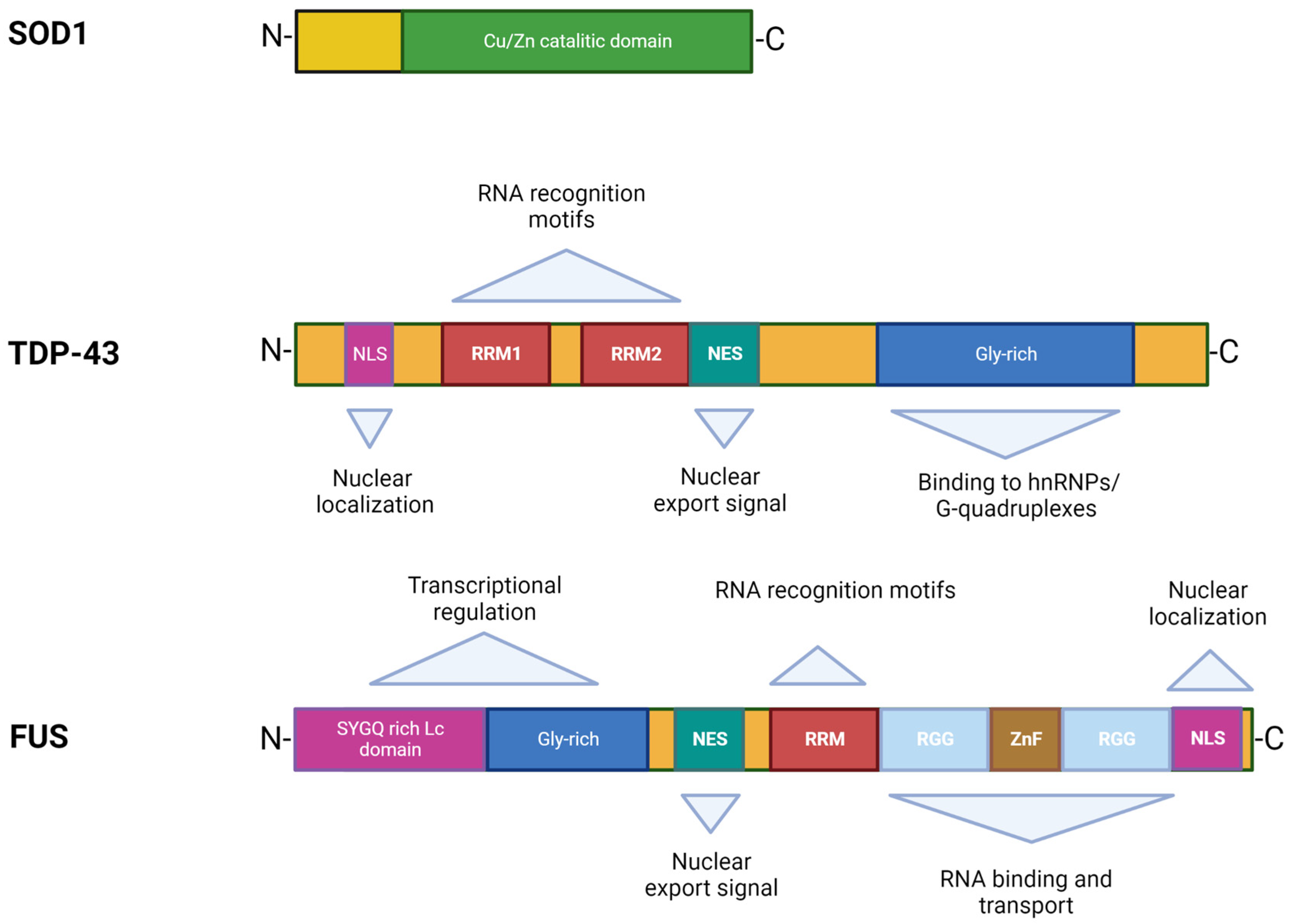 Ijms 24 00704 g002 Ijms 24 00704 g002