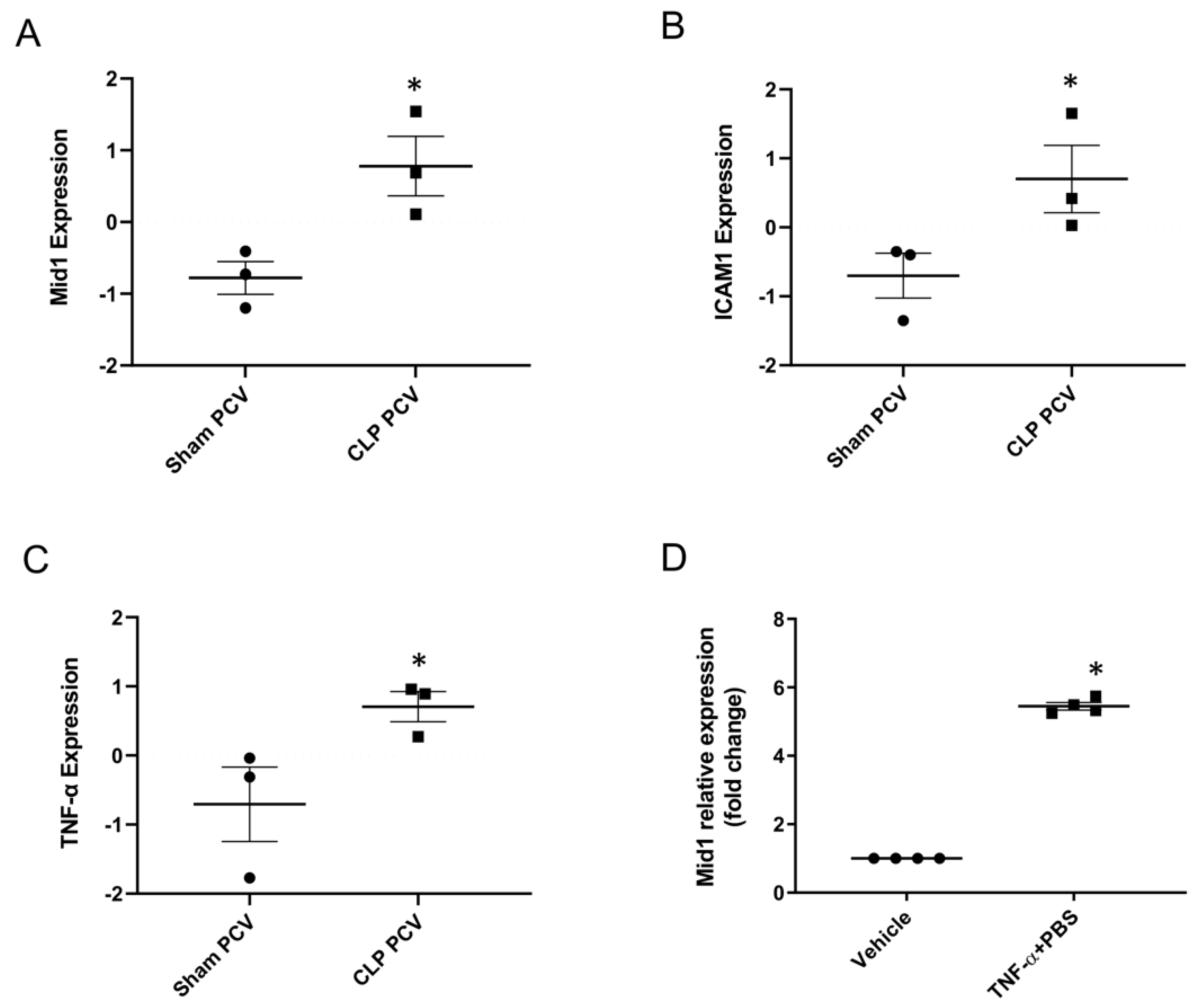 Ijms 24 00705 g001 Ijms 24 00705 g001