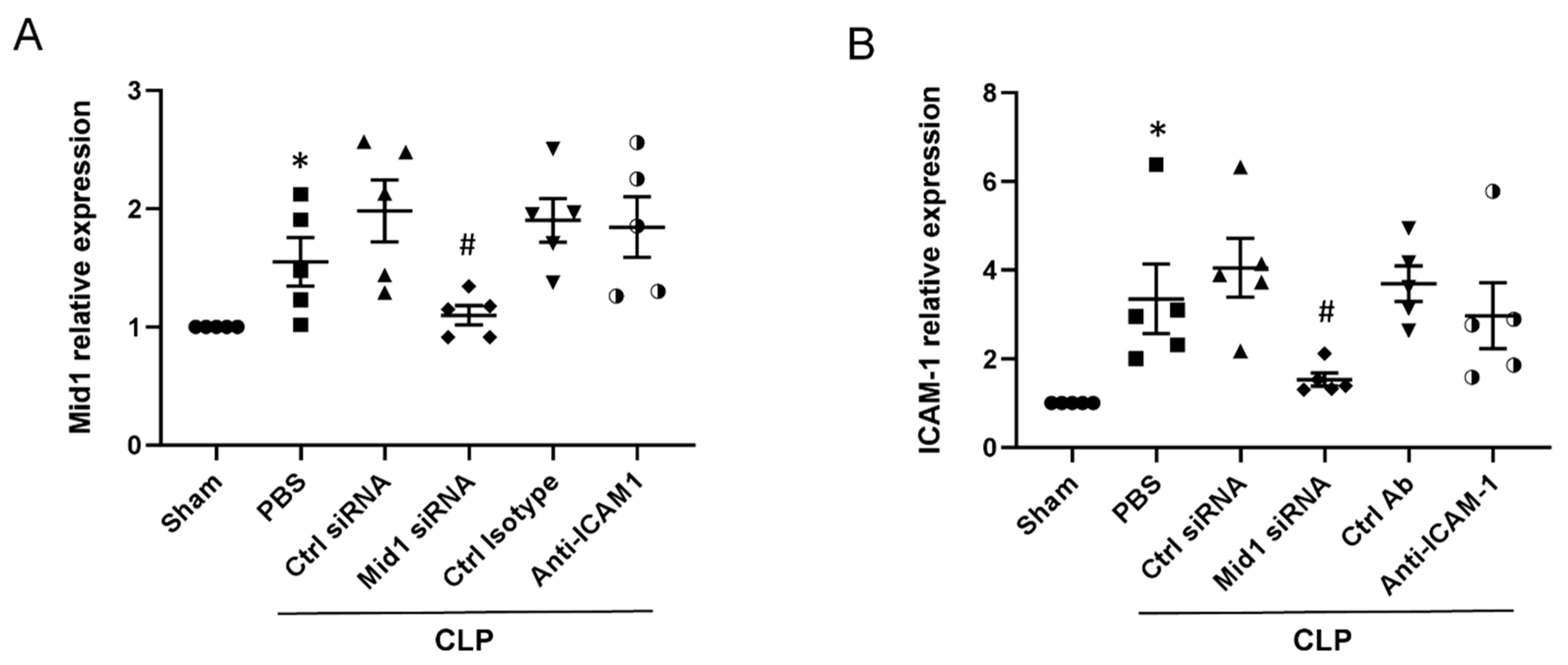 Ijms 24 00705 g004 Ijms 24 00705 g004