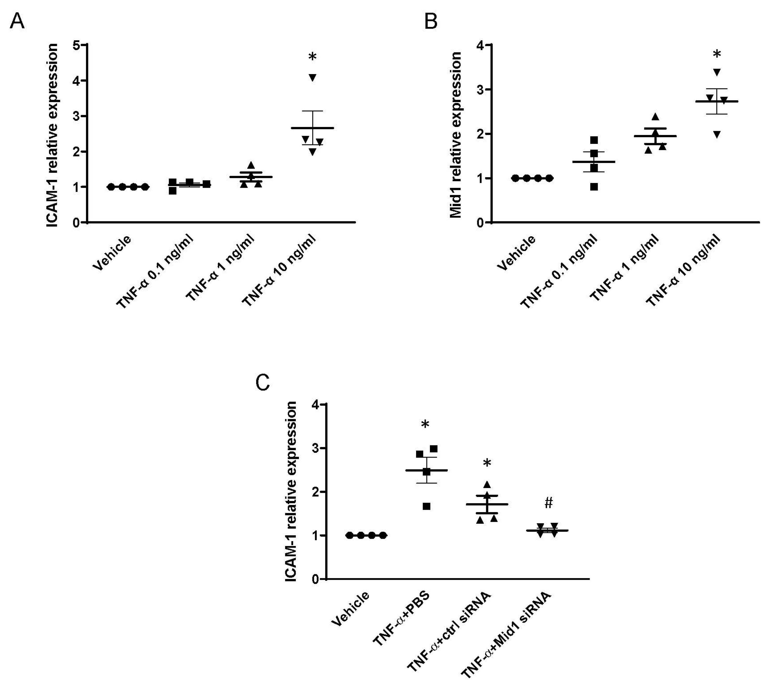 Ijms 24 00705 g006 Ijms 24 00705 g006