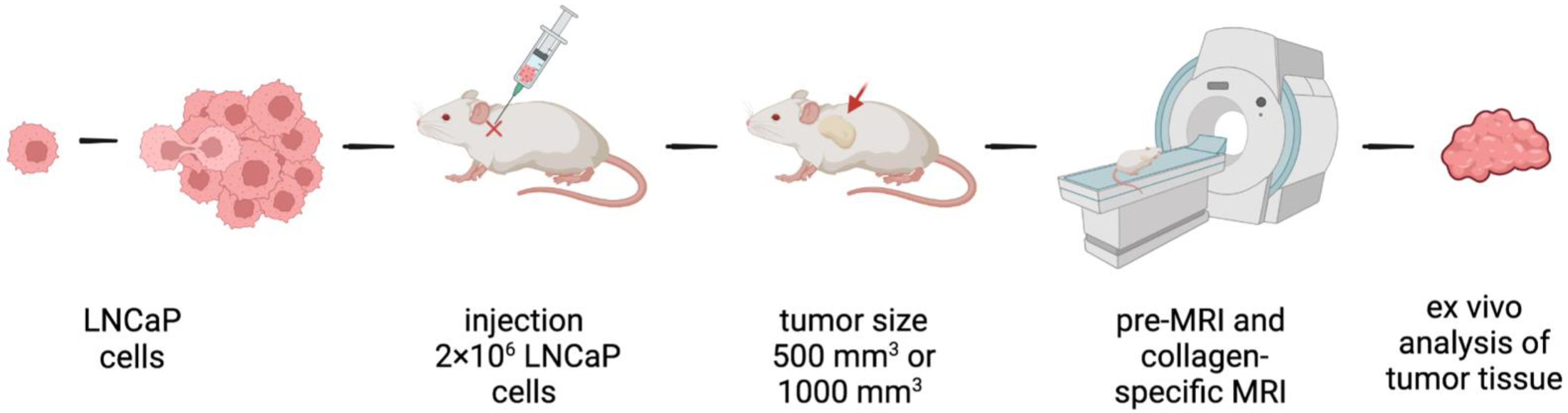 Ijms 24 00711 g001 Ijms 24 00711 g001