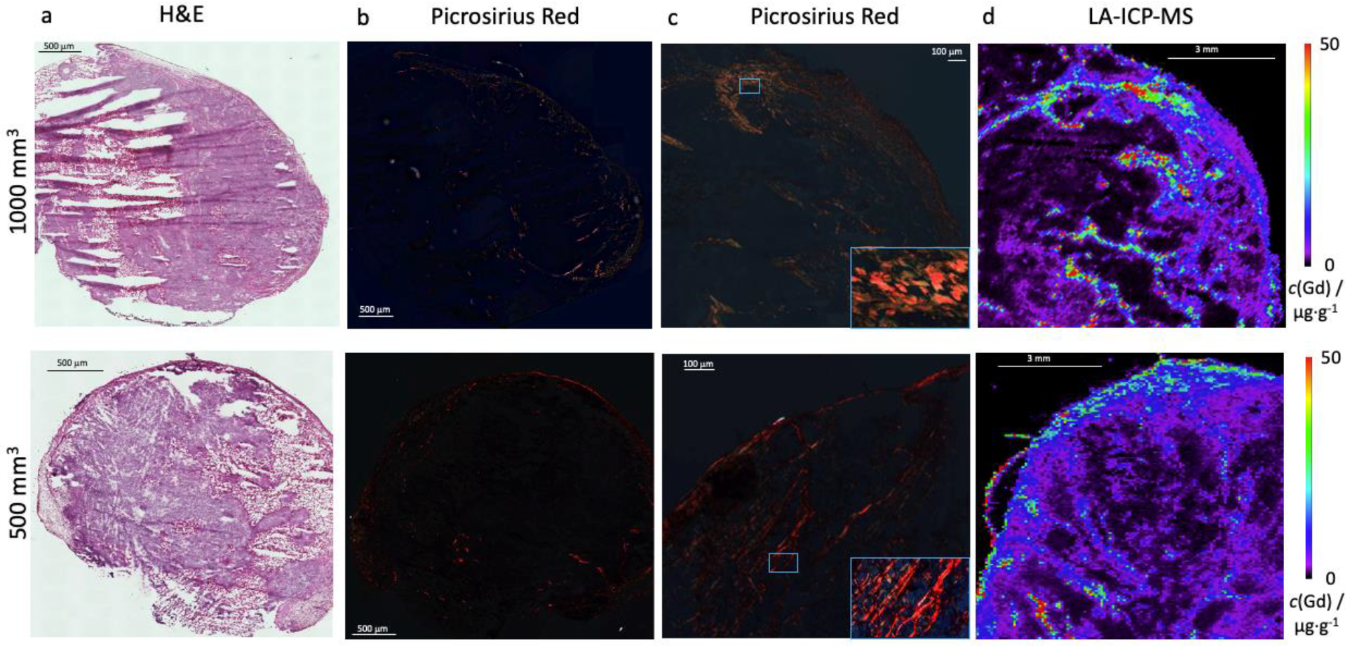 Ijms 24 00711 g003 Ijms 24 00711 g003