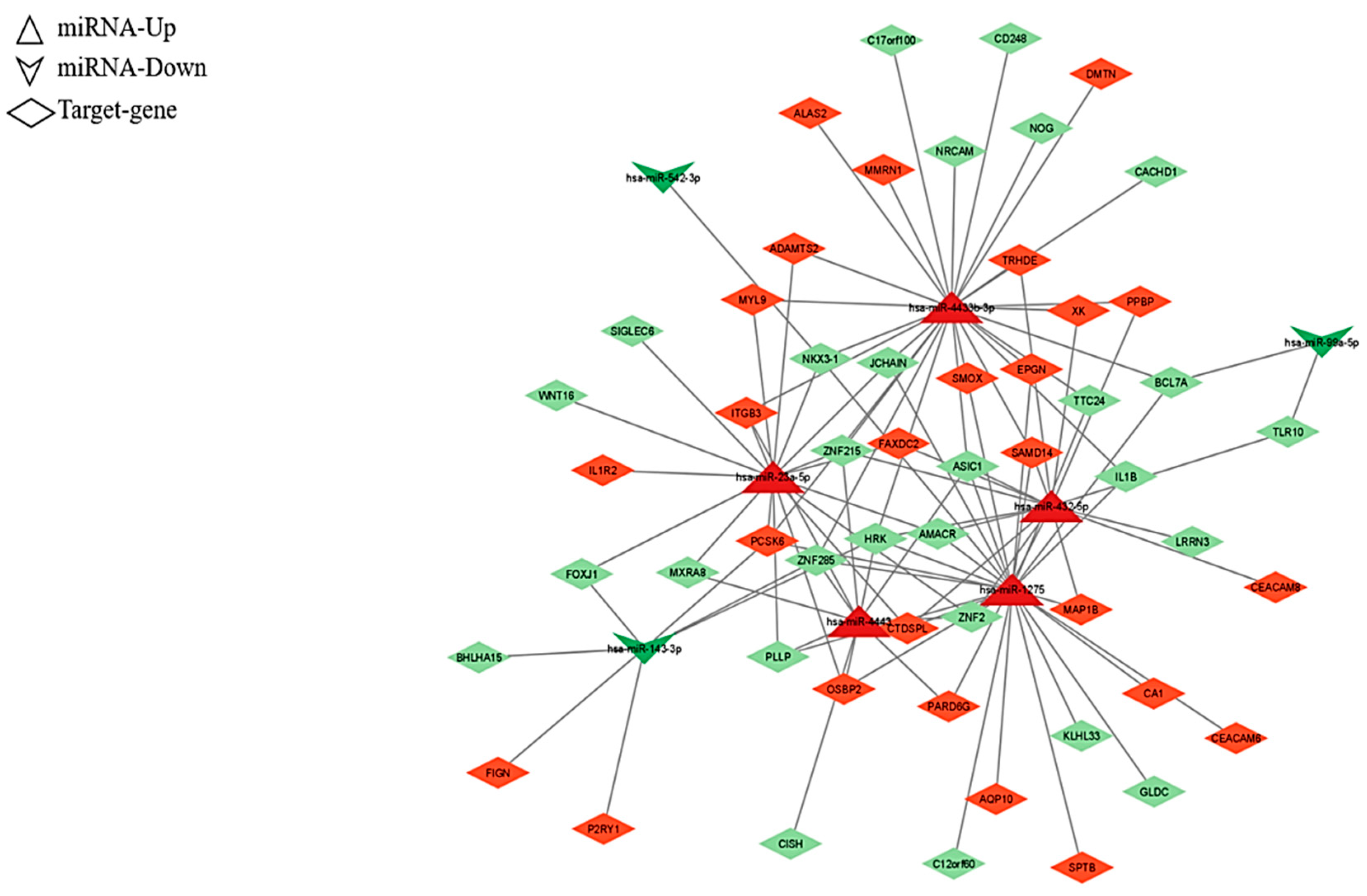 Ijms 24 00712 g005 Ijms 24 00712 g005