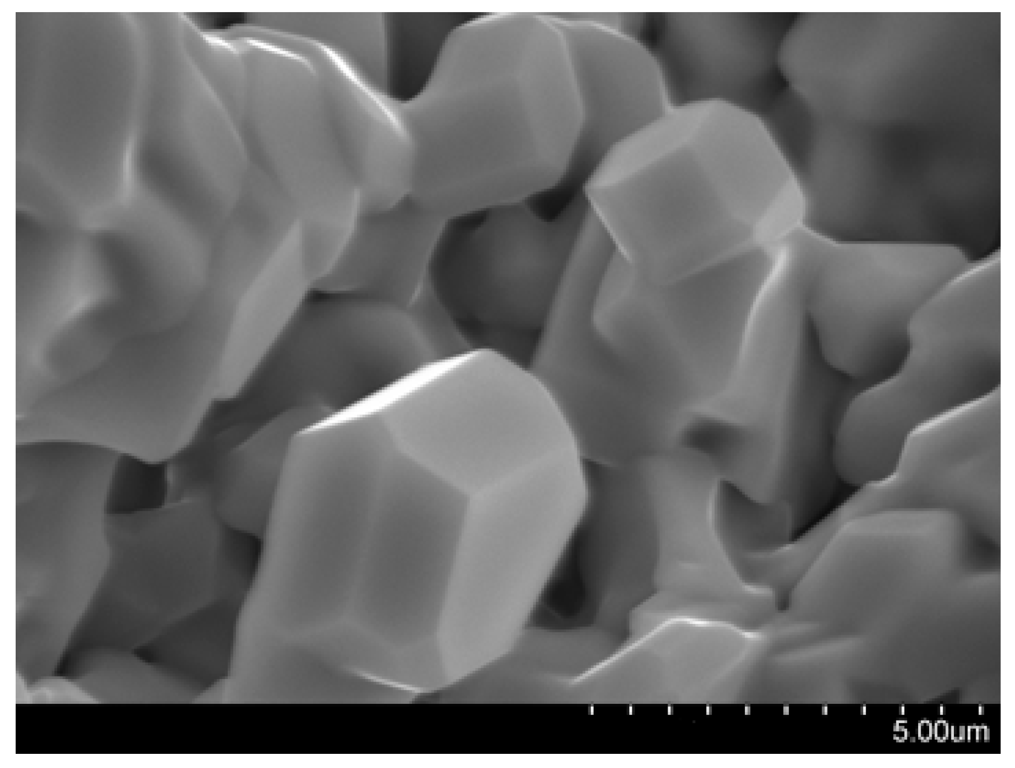 Ijms 24 00715 g002 Ijms 24 00715 g002