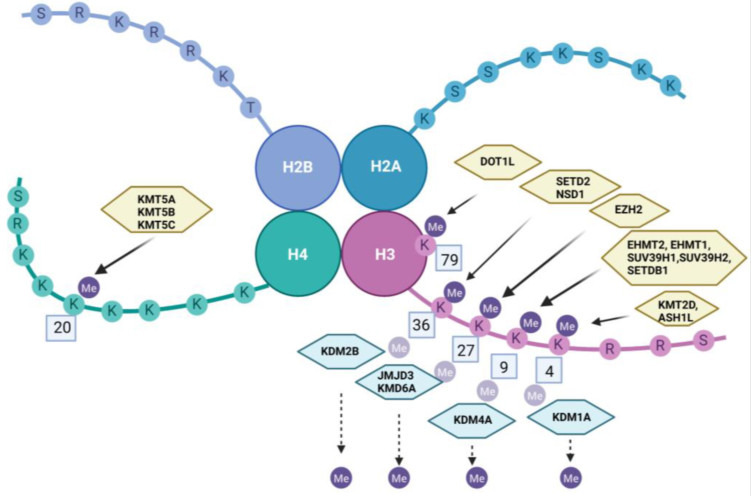 Ijms 24 00716 g001 Ijms 24 00716 g001