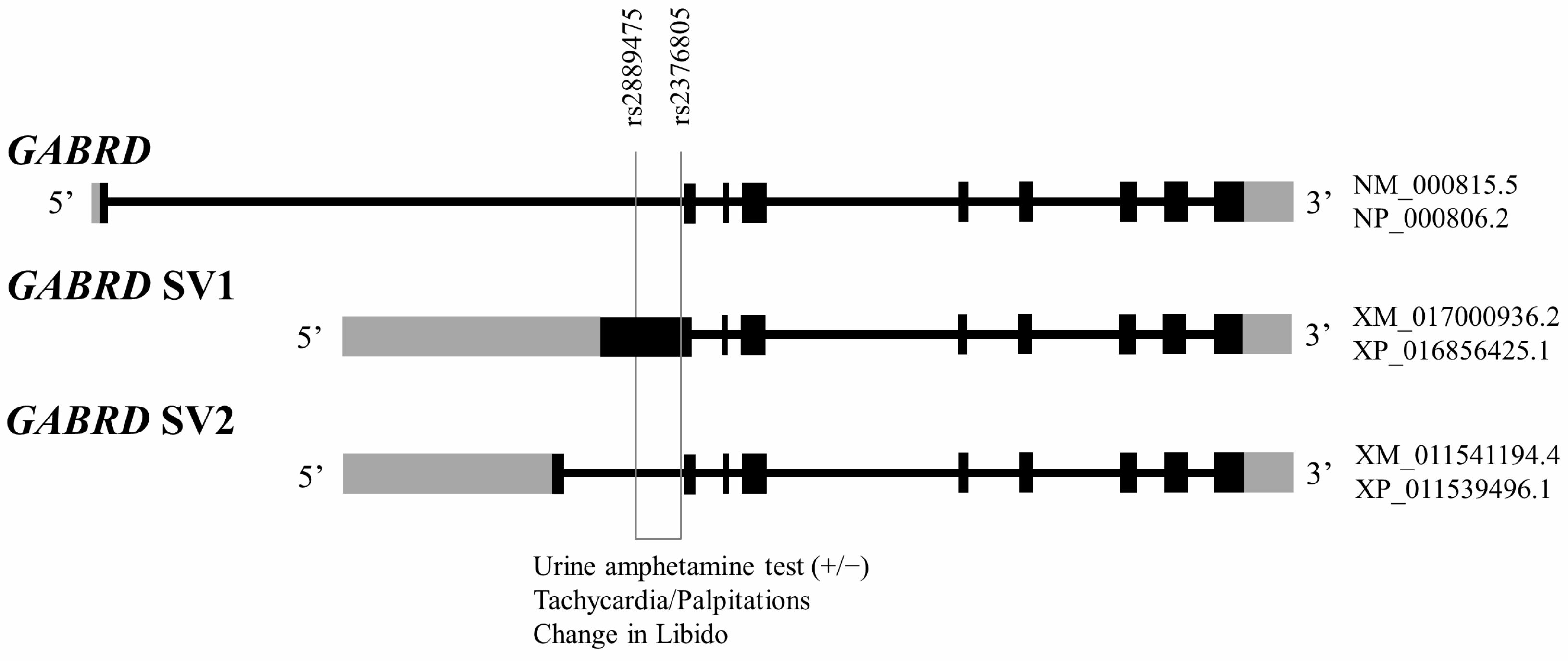 Ijms 24 00721 g001 Ijms 24 00721 g001