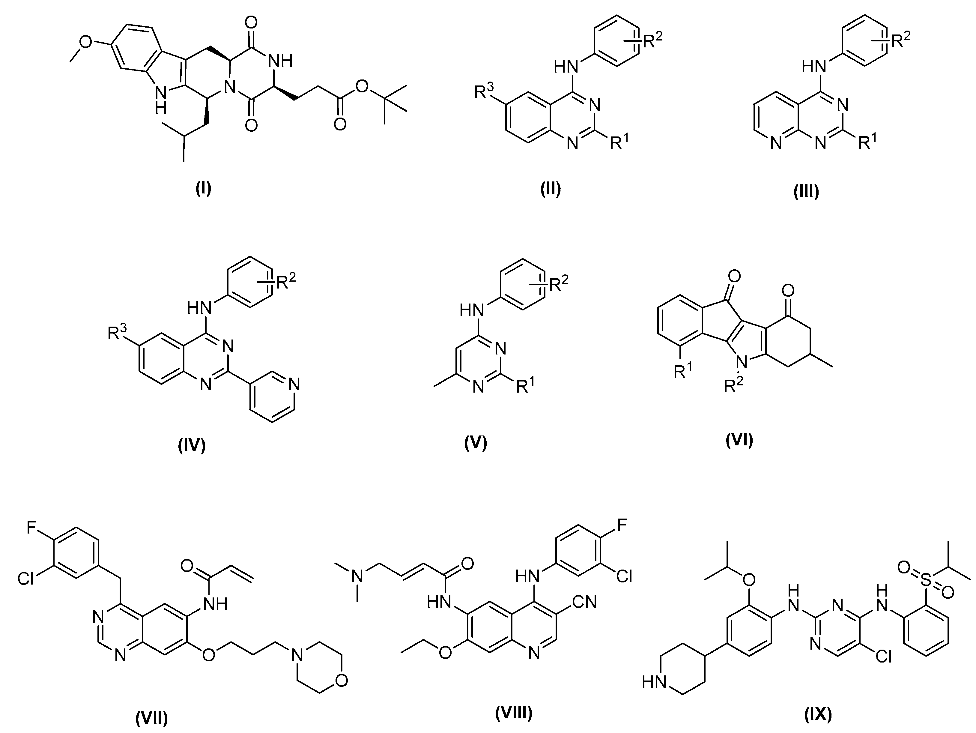 Ijms 24 00725 g001 Ijms 24 00725 g001