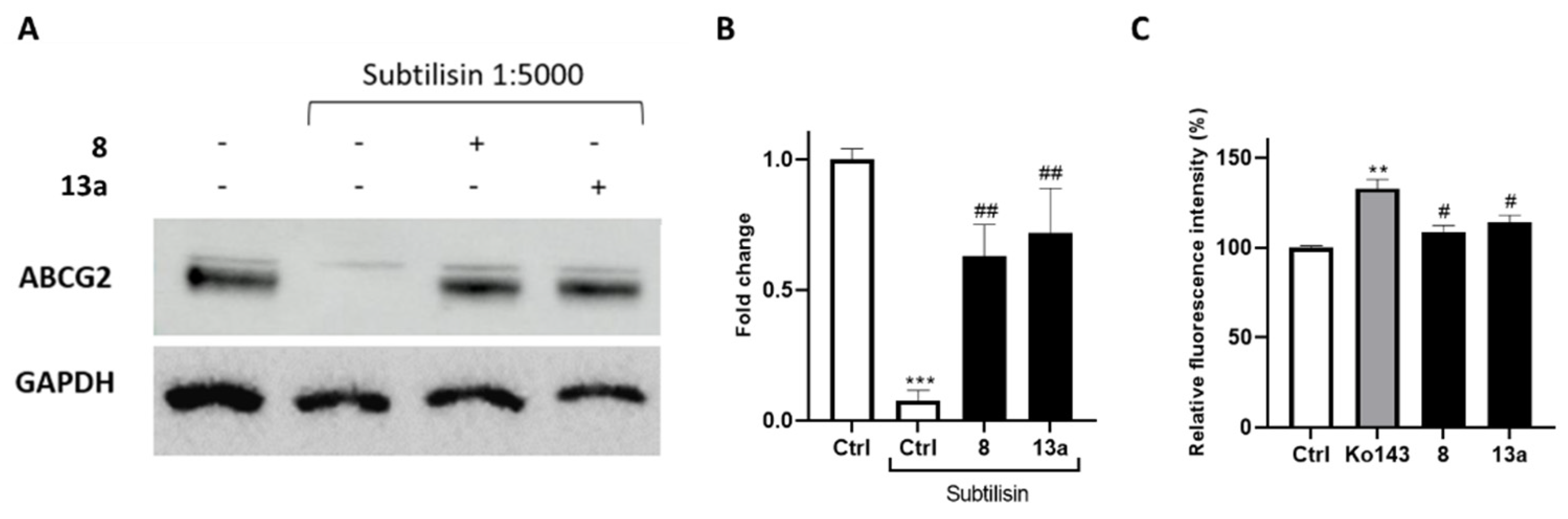Ijms 24 00725 g006 Ijms 24 00725 g006
