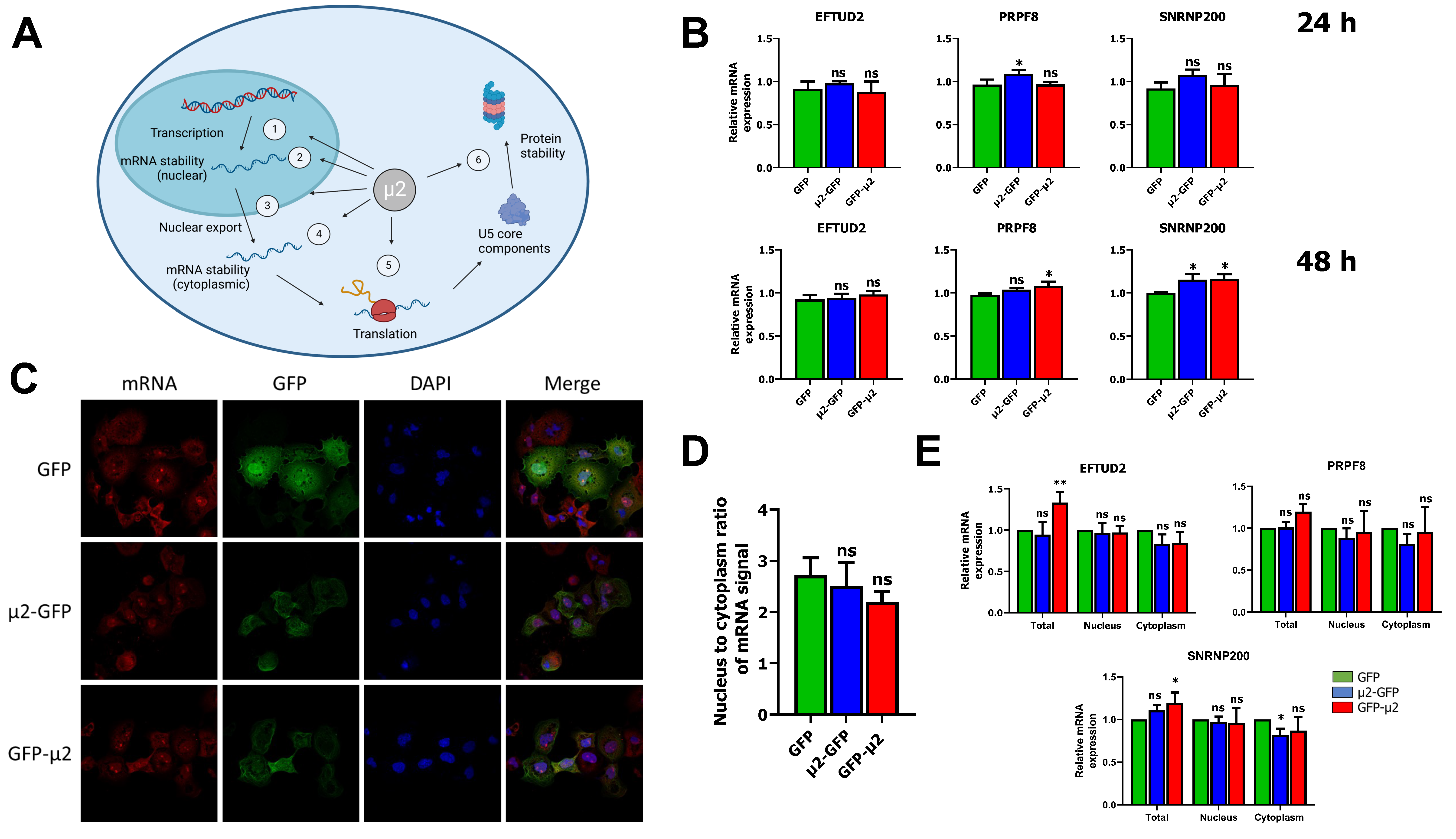 Ijms 24 00727 g001 Ijms 24 00727 g001
