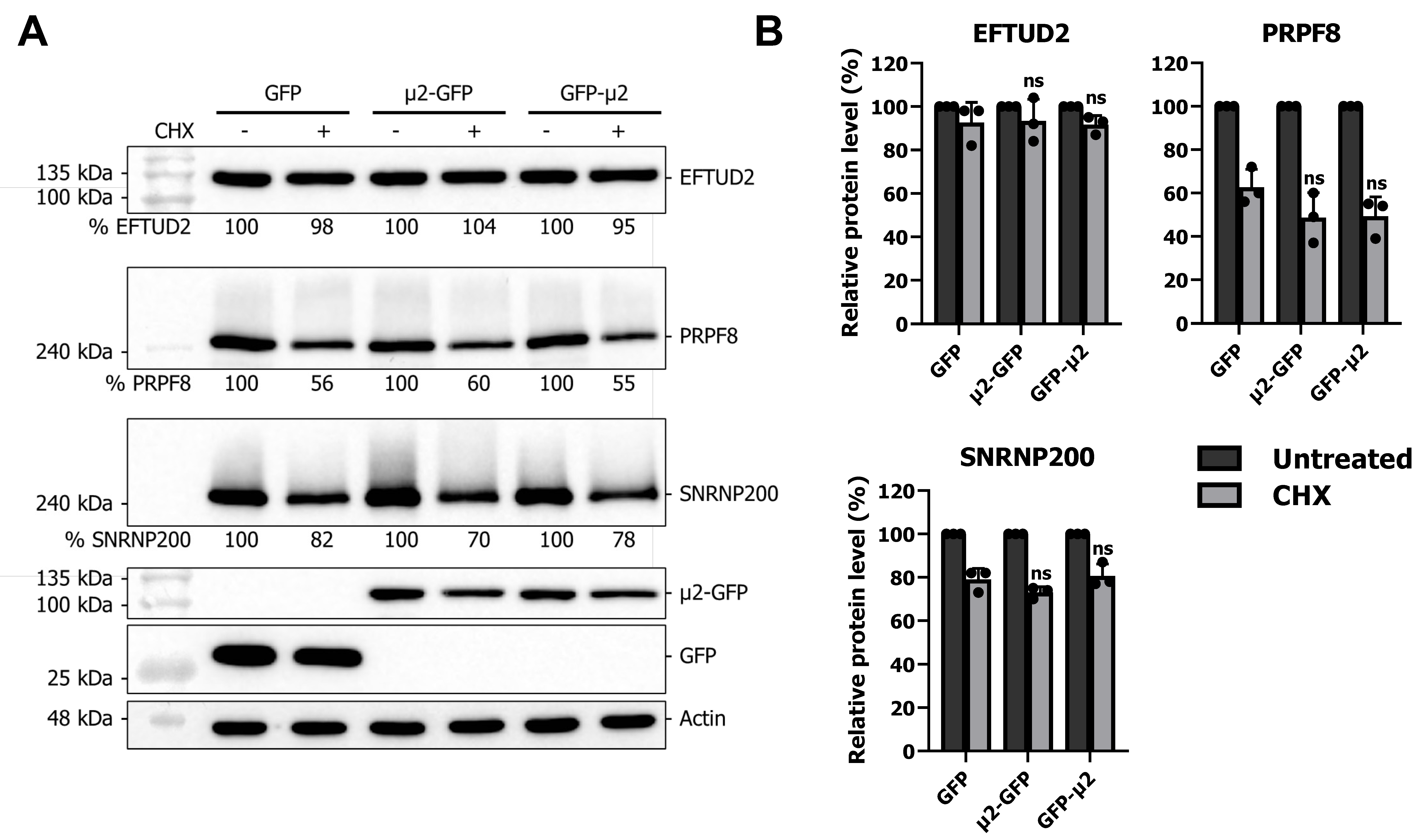 Ijms 24 00727 g003 Ijms 24 00727 g003