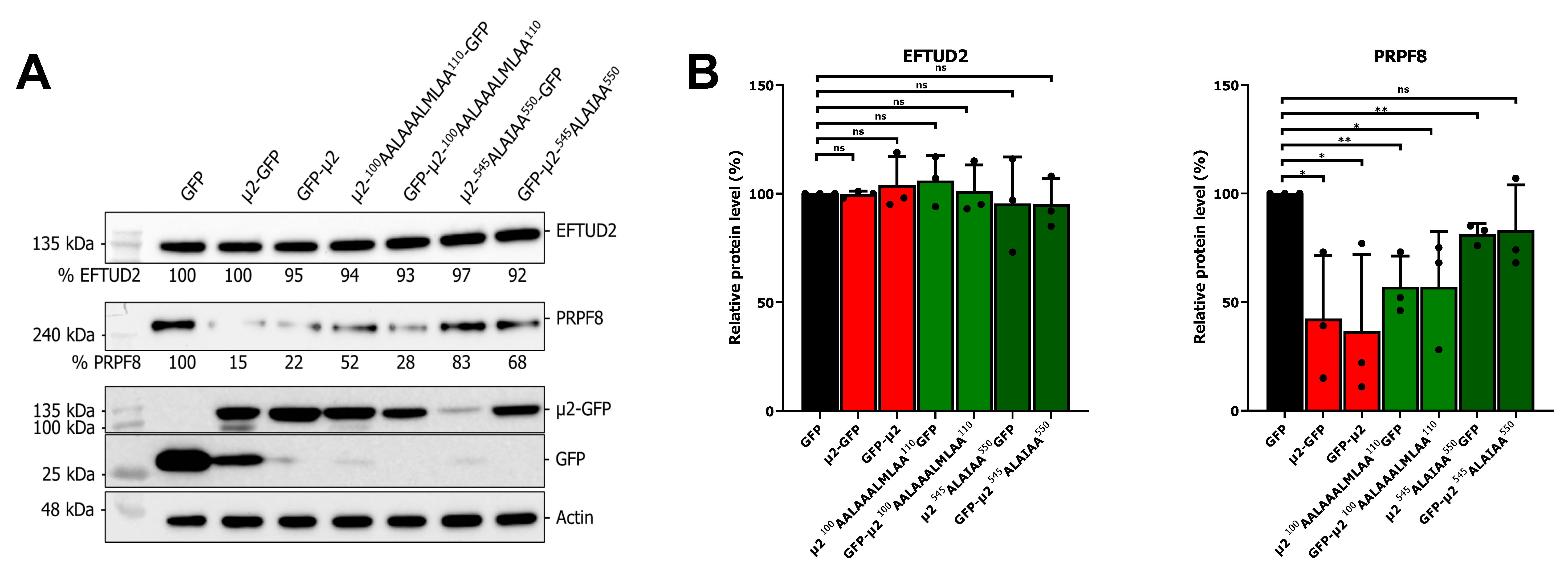 Ijms 24 00727 g004 Ijms 24 00727 g004