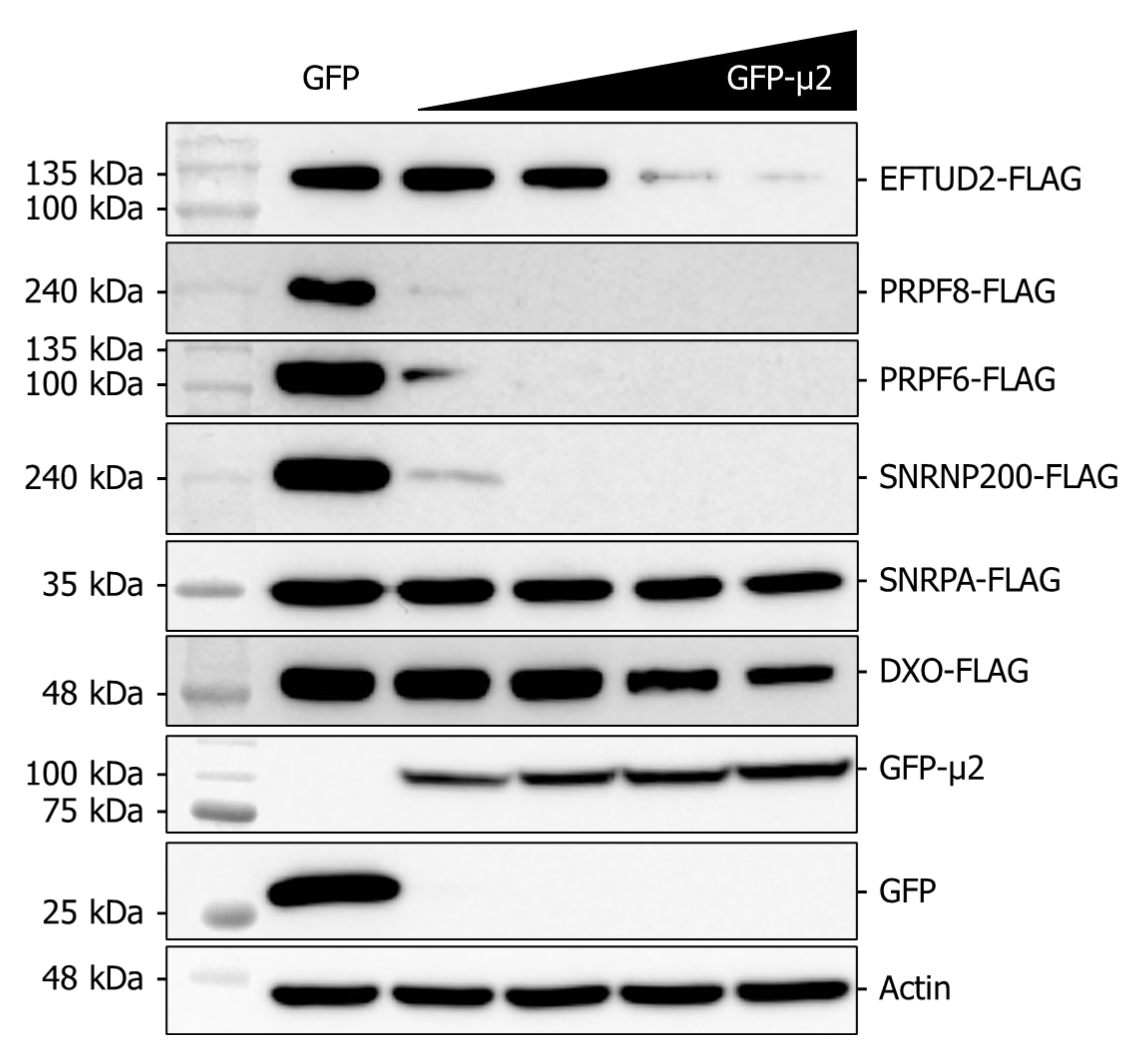 Ijms 24 00727 g005 Ijms 24 00727 g005