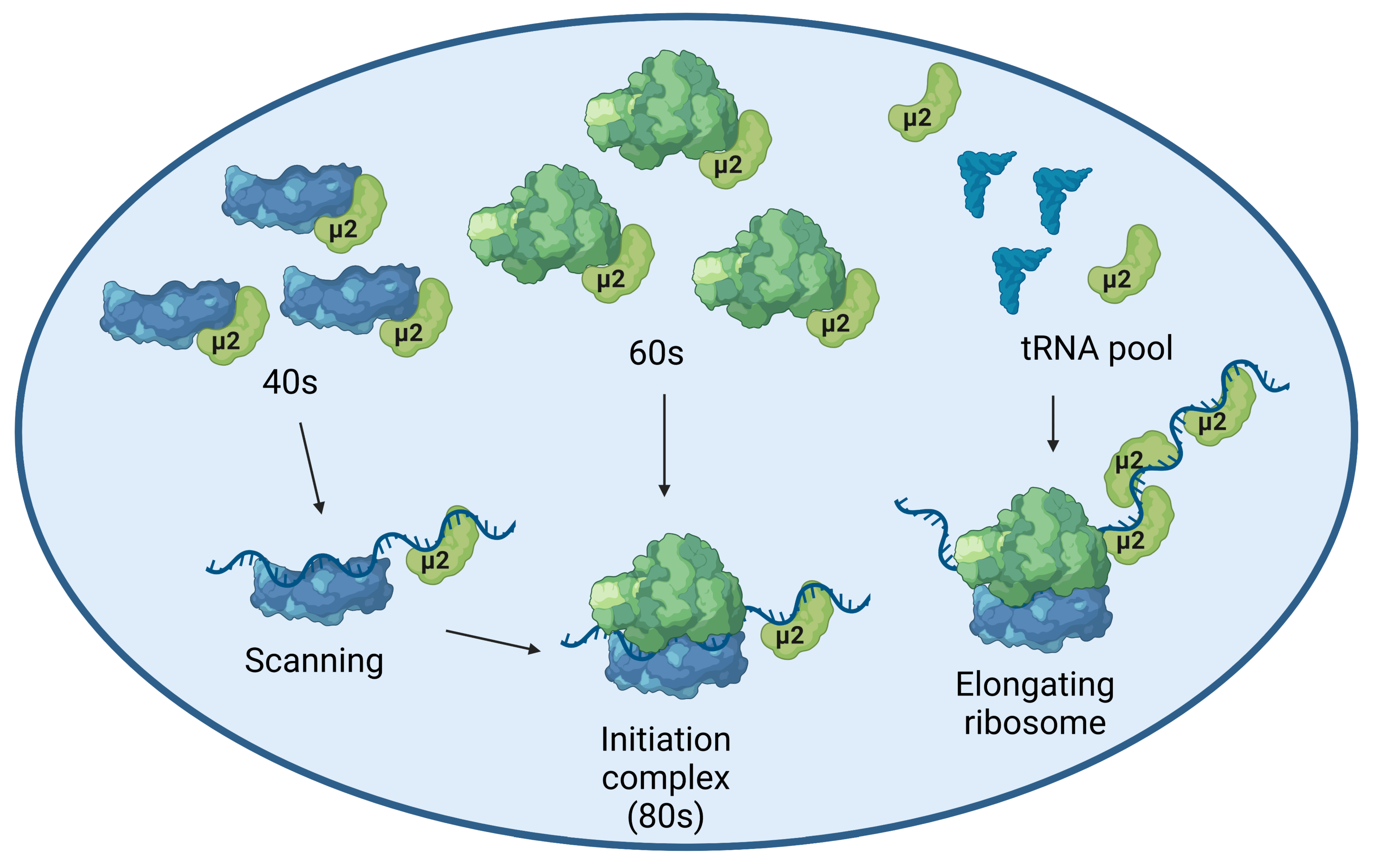 Ijms 24 00727 g006 Ijms 24 00727 g006