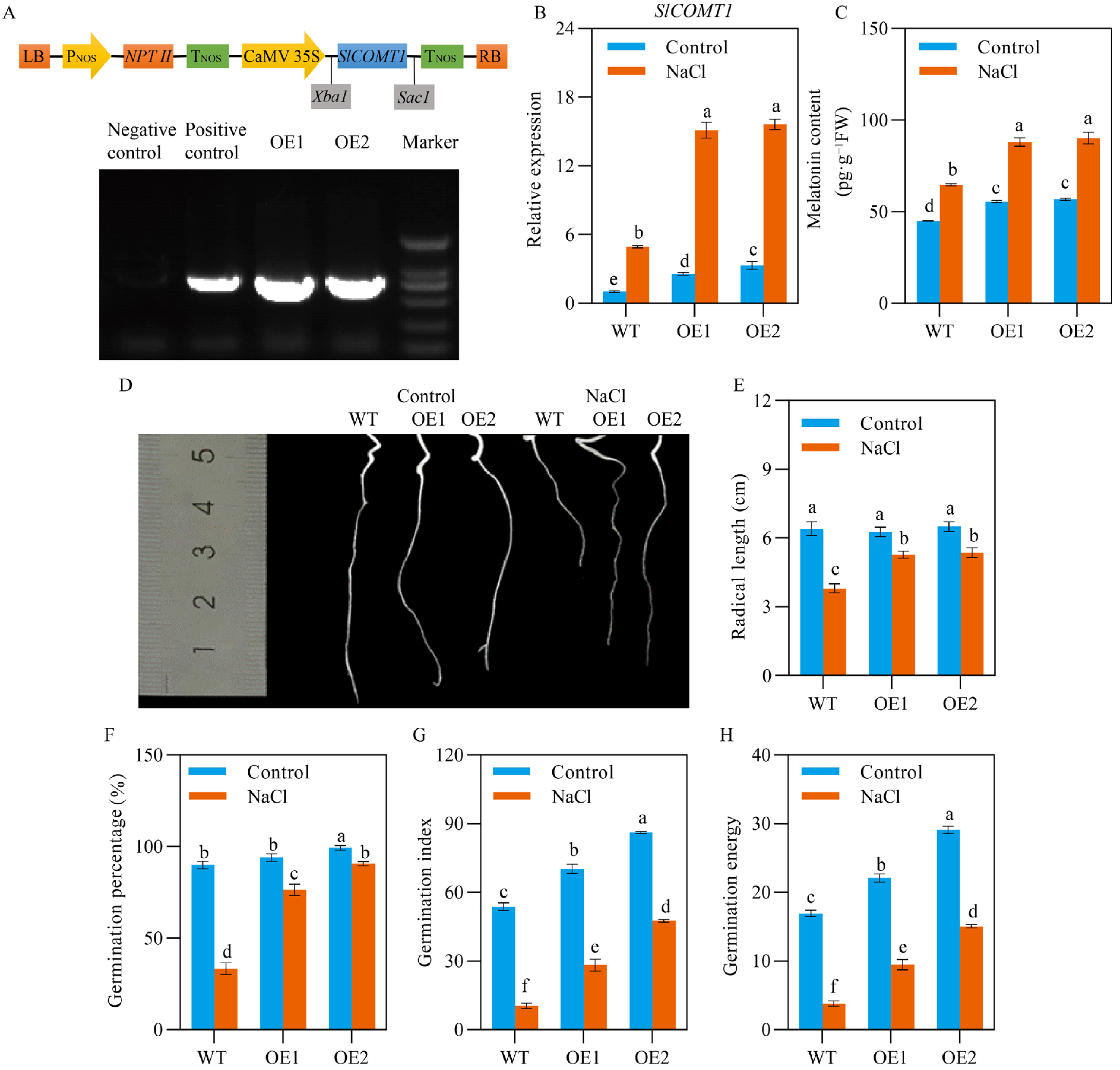 Ijms 24 00734 g001 Ijms 24 00734 g001