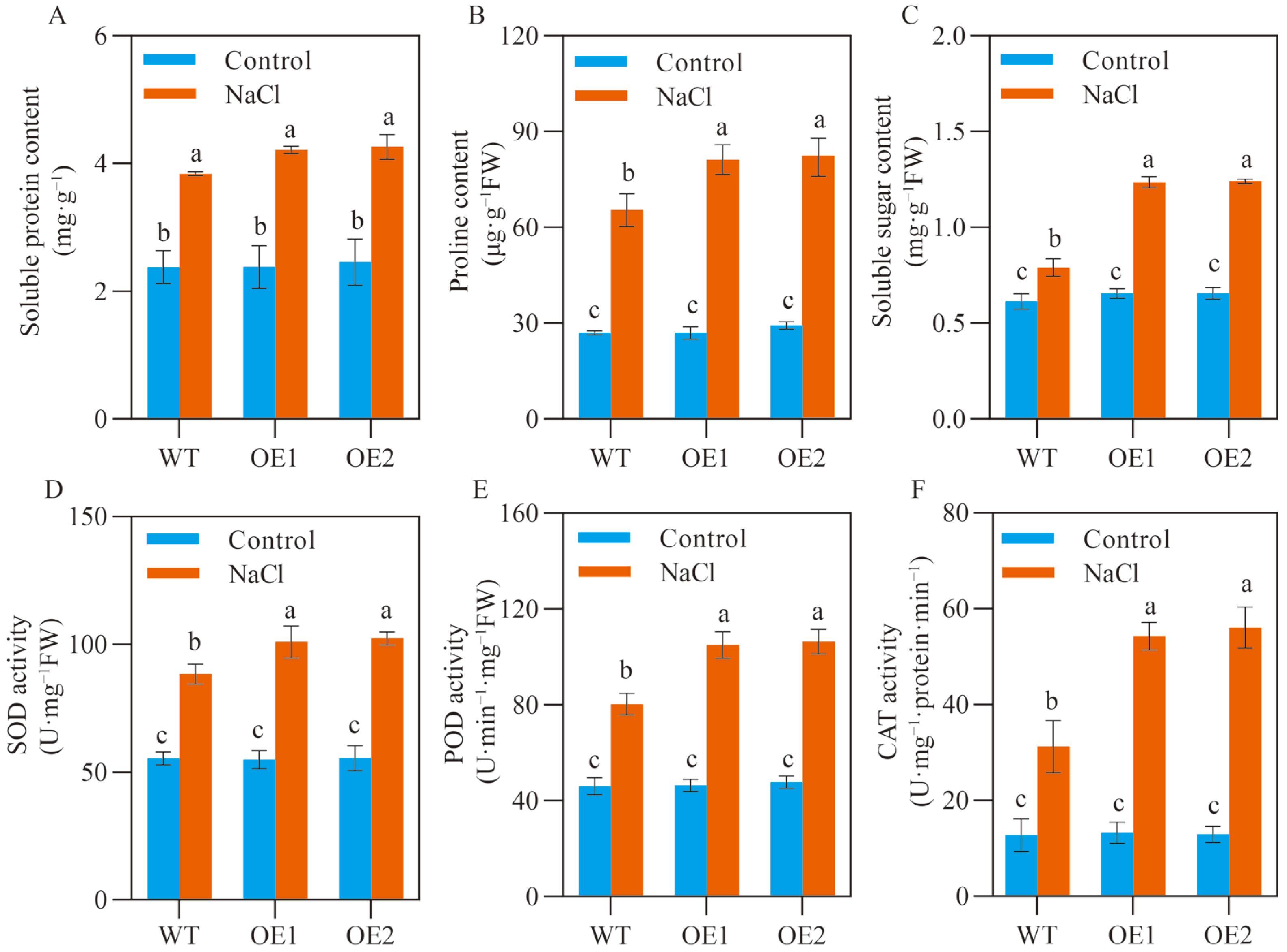 Ijms 24 00734 g003 Ijms 24 00734 g003