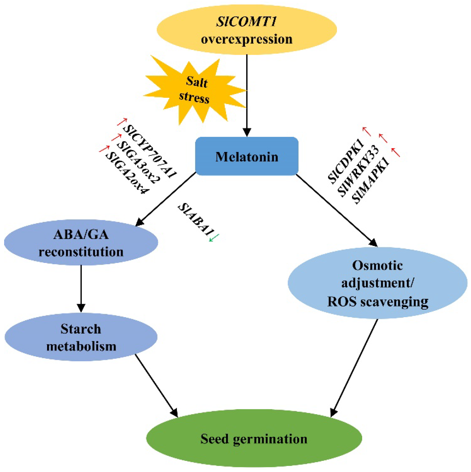 Ijms 24 00734 g006 Ijms 24 00734 g006