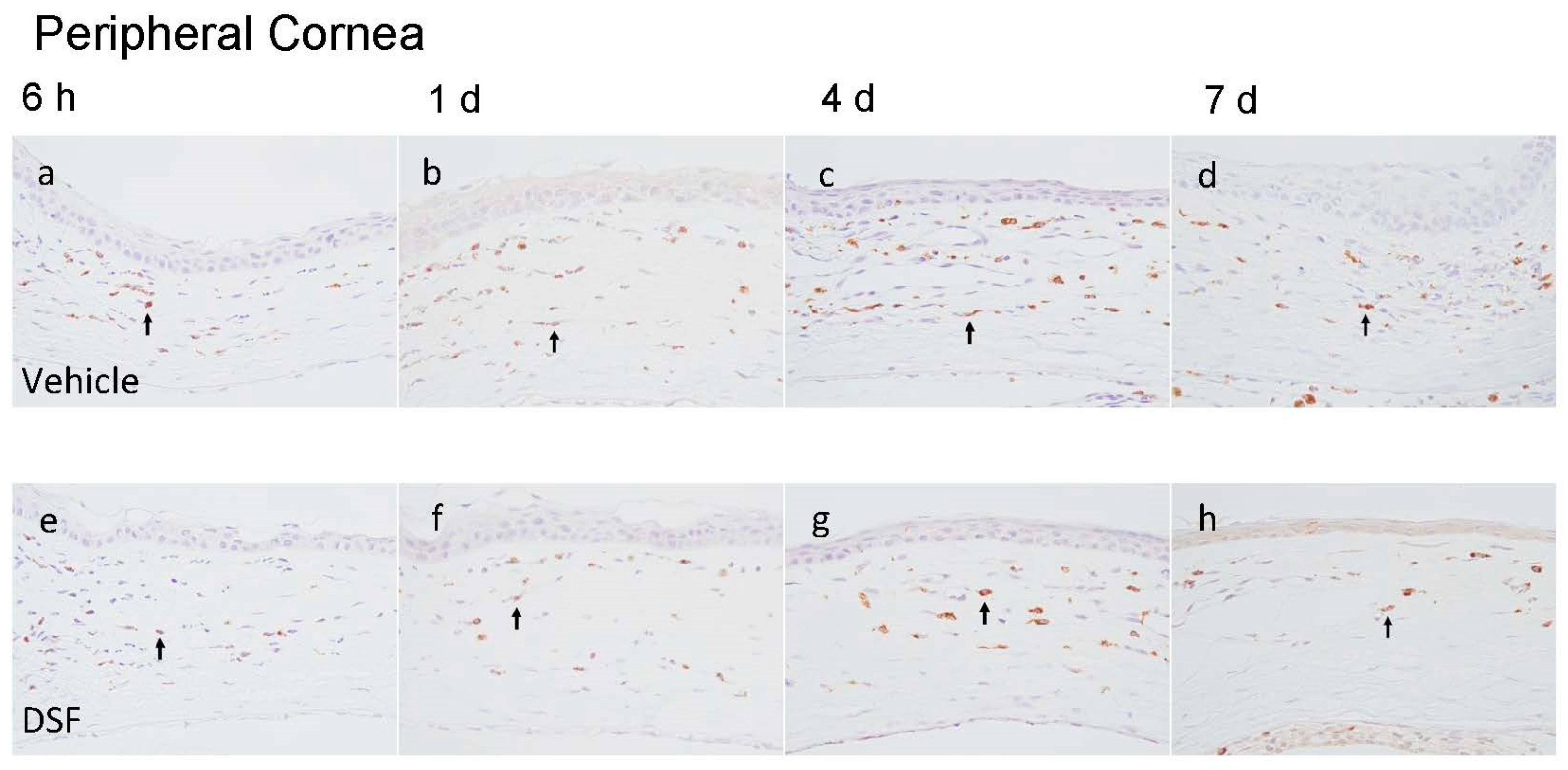 Ijms 24 00735 g002a Ijms 24 00735 g002a