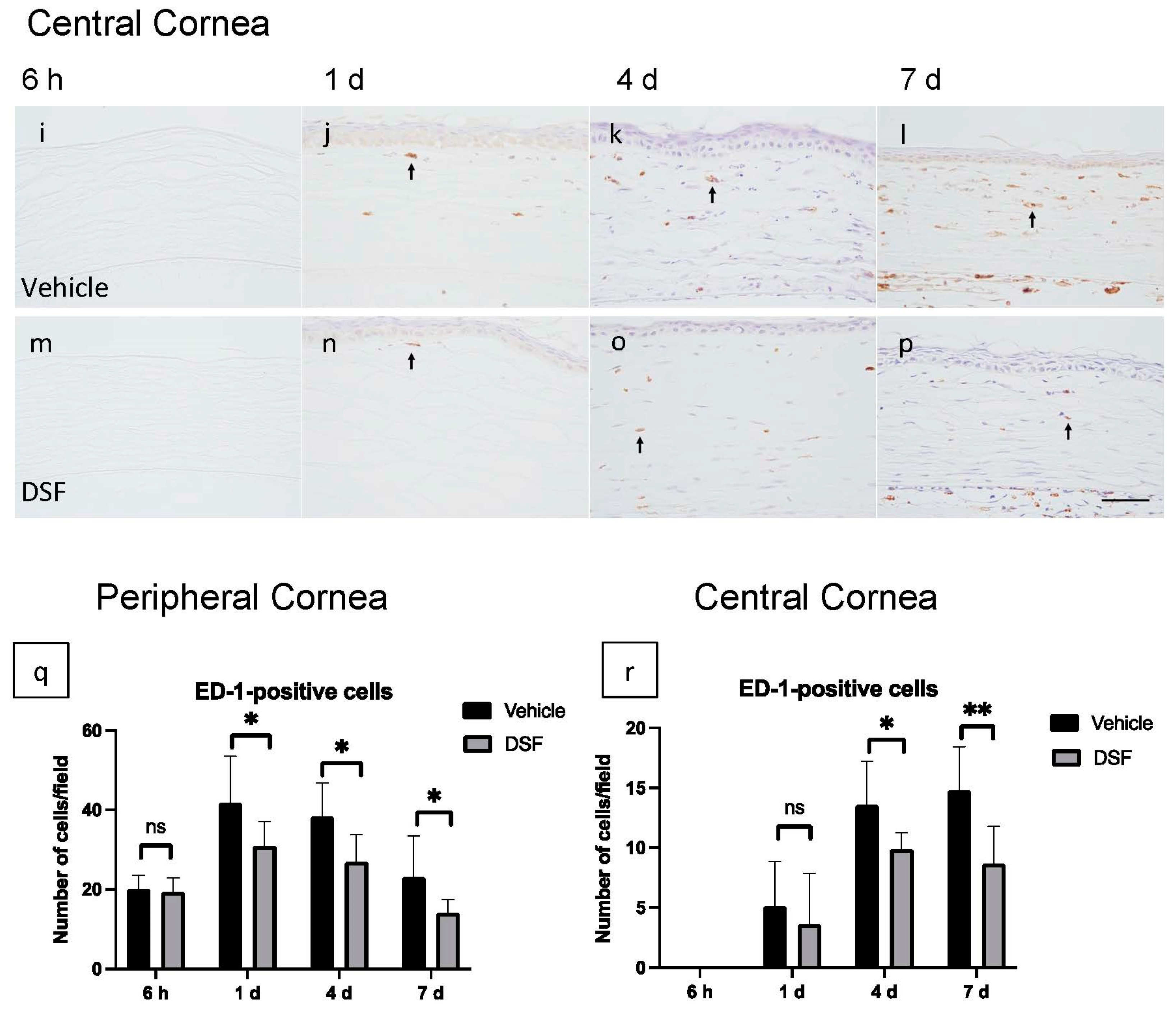 Ijms 24 00735 g002b Ijms 24 00735 g002b